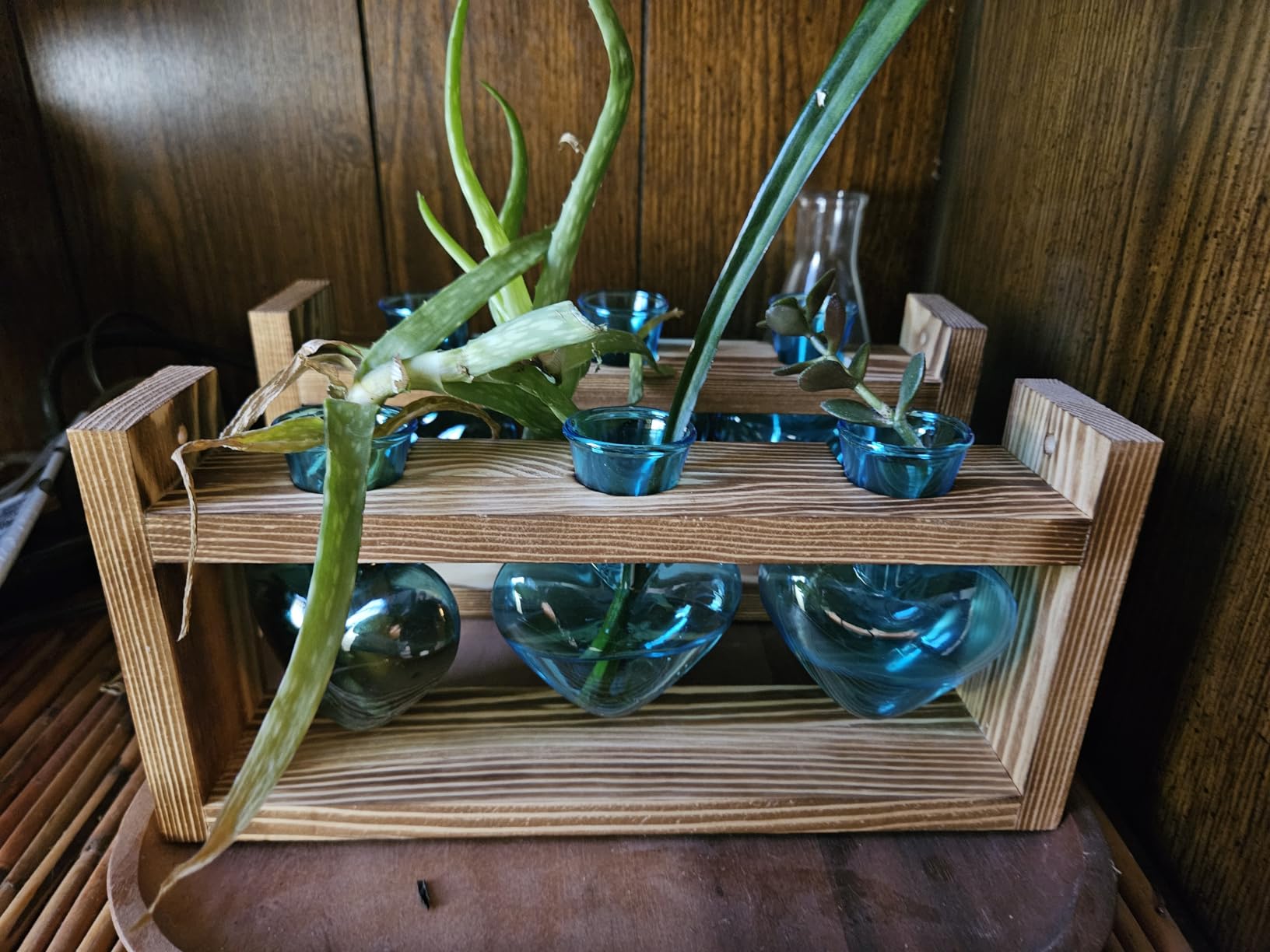 Nacome Plant Terrarium with Wooden Stand, 3 Heart Bulb Glass Vases | Wooden Stand Tabletop for Air Planter, Gifts for Mom Plant Lovers Mom Women Wife Grandma customer photo 2