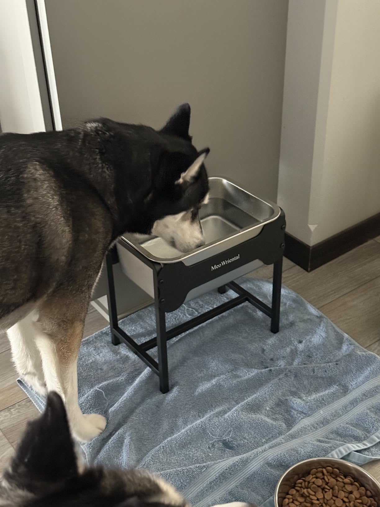 2.5 Gallon Elevated Dog Water Bowl for Large Breeds, 14.2