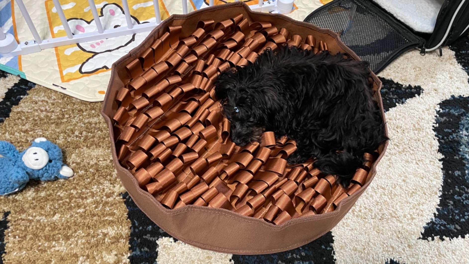 Reggie Snuffle Mat for Dogs, for Calming Support, Reducing Speed Eating, and Mental Stimulation, Durable & Easy to Clean Sniff Mat for Dogs, 20
