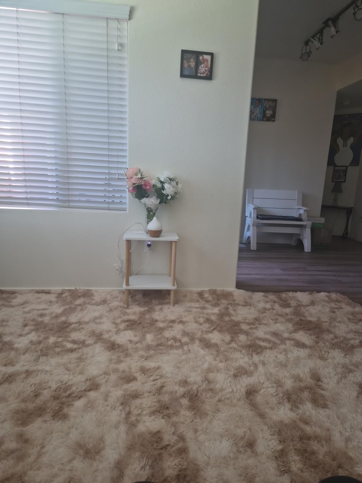 Litanika 8x10 Shag Area Rug for Bedroom, Tie-Dyed Beige Plush Rug | High Pile Soft Fluffy Shaggy Furry Modern Indoor Floor Rug Carpet for Bedside Playroom Dorm, Non-Slip, Non-Shedding customer photo 1