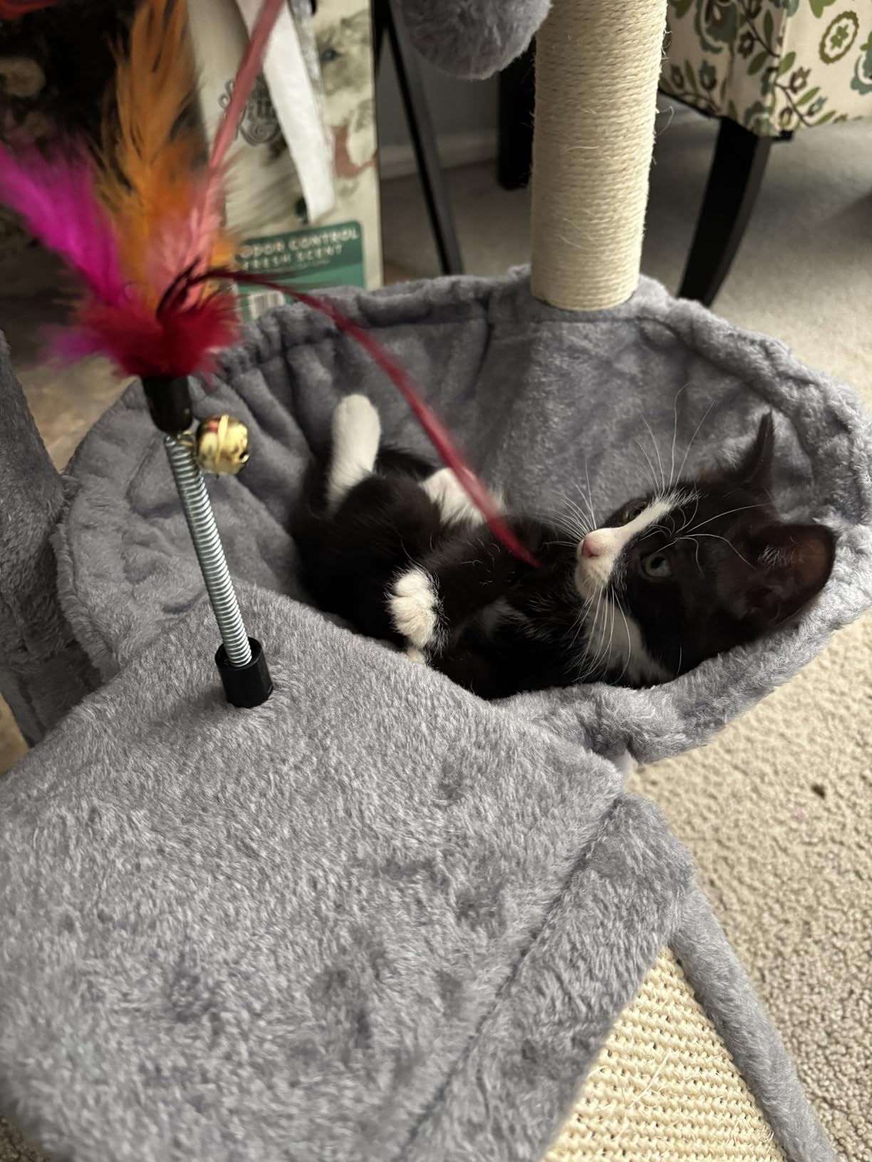 YOUPET Cat Tree with Cat Scratching Post for Indoor Cats, Cat Tower with Scratching Board and Playful Toy Balls, Cat Tree Tower with Cozy Hammock, Grey customer photo 2