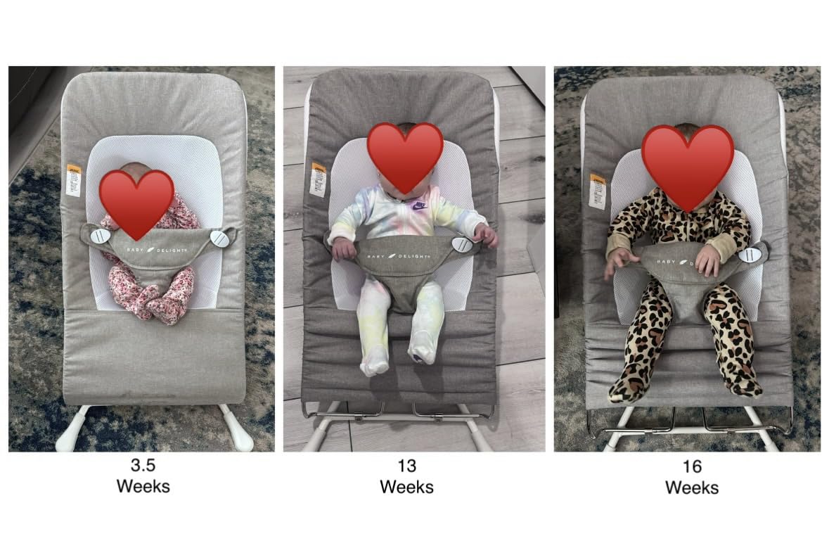 Baby Delight Highland Baby Bouncer, Sage Tweed | For Infants 0 - 6 Months, 3-Position Recline, Adjustable 3-Point Harness, Secure Locking Mechanism, Folds Flat customer photo 1