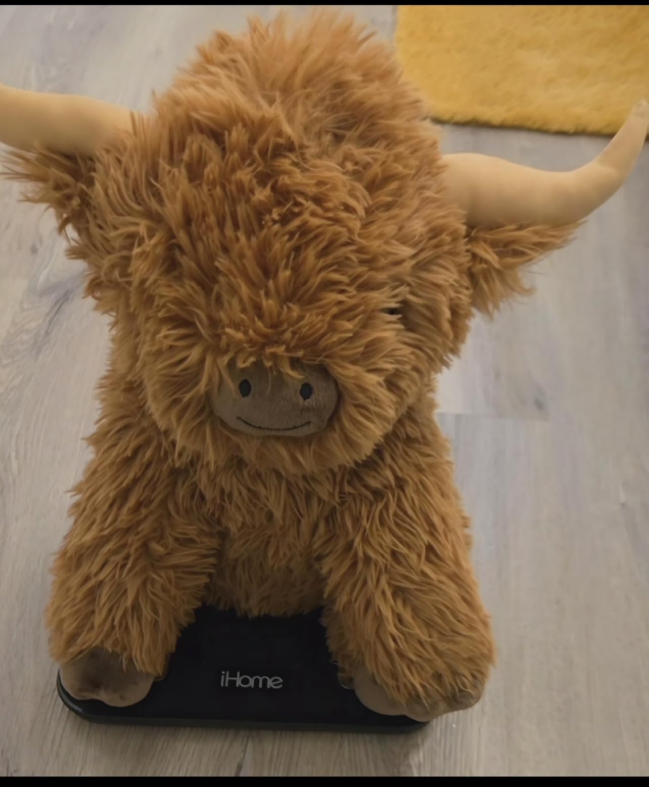 Wepop 5lbs Highland Cow Weighted Stuffed Animals 22in Giant Highland Cow | Gift Plush Toy Adorable Stuffed Animal for Kids and Adults Highland Cattle Plushie Pillow Decor customer photo 1