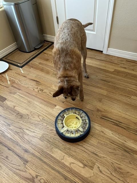 KADTC Adjustable 5-60 Min Slow Feeder Dog Bowl & Puzzle Feeder Anti-Gulping | 4-Cup Spinning Food Dispenser Turns Daily Meals Into Energy-Burning Enrichment, Eases Boredom, Builds Calmer Mealtime Rhythms customer photo 2