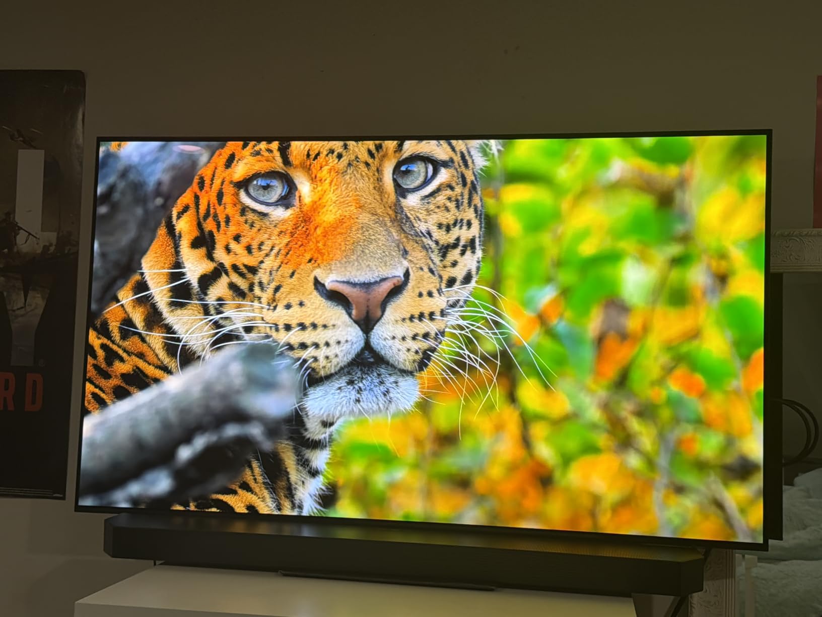 Samsung 65-Inch Class OLED S90F 4K Smart TV (2025 Model) NQ4 AI Gen3 Processor Upscaling Pro HDR +, Motion Xcelerator 144Hz, Vision Alexa Built-in customer photo 1