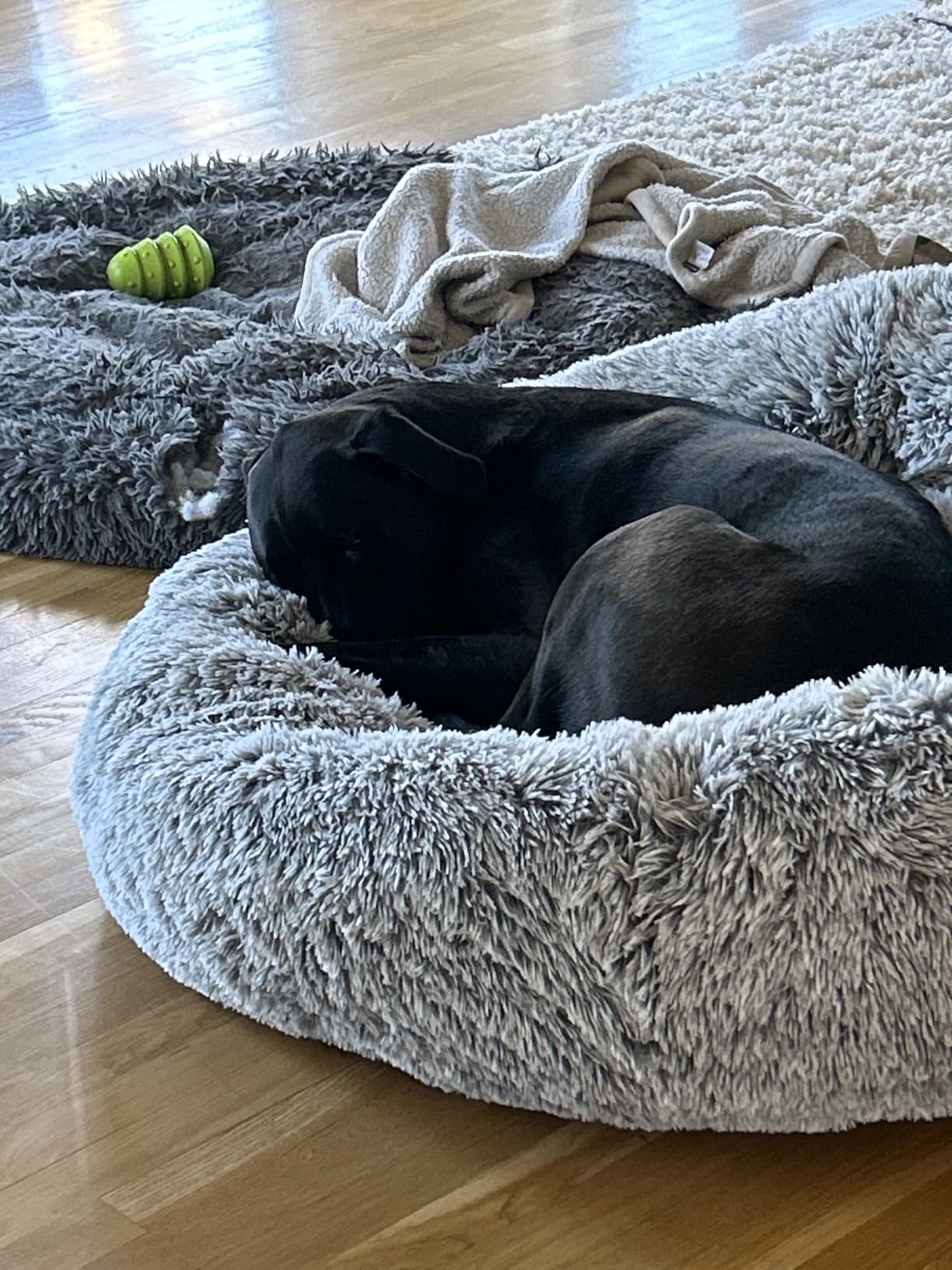 36 inches Faux Fur Fluffy Donut Dog Bed for Large Dogs, Dark Grey | Calming Plush Round Pet Bed with Removable & Washable Cover, Fits up to 80 lbs Pets customer photo 2