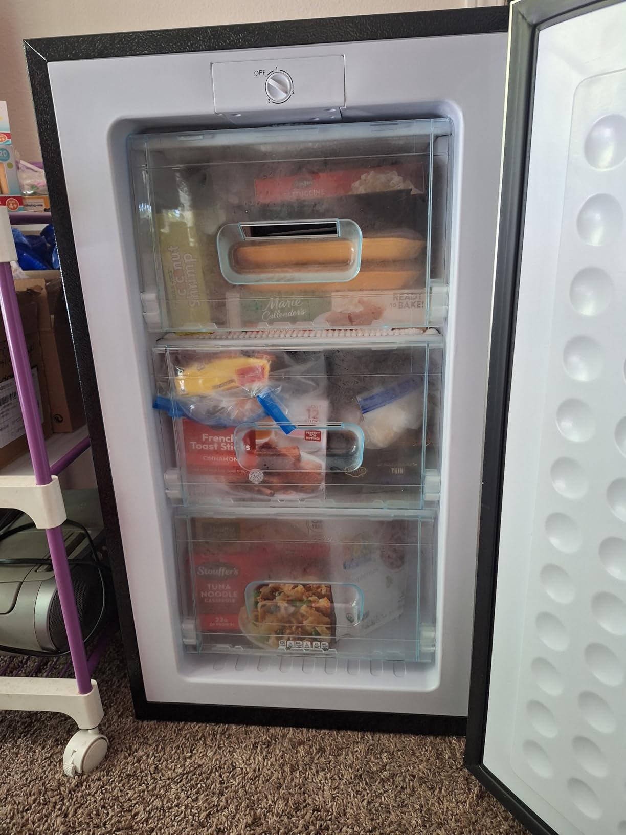 BODACIOUS 3.2 Cu.Ft Mini Freezer - Compact Upright Small Freezer - Silver | Reversible Stainless Door, Plastic Baffles, Stand Up, Adjustable Thermostat, Freestanding, for Kitchen/RV/Dorm/Apartment customer photo 1
