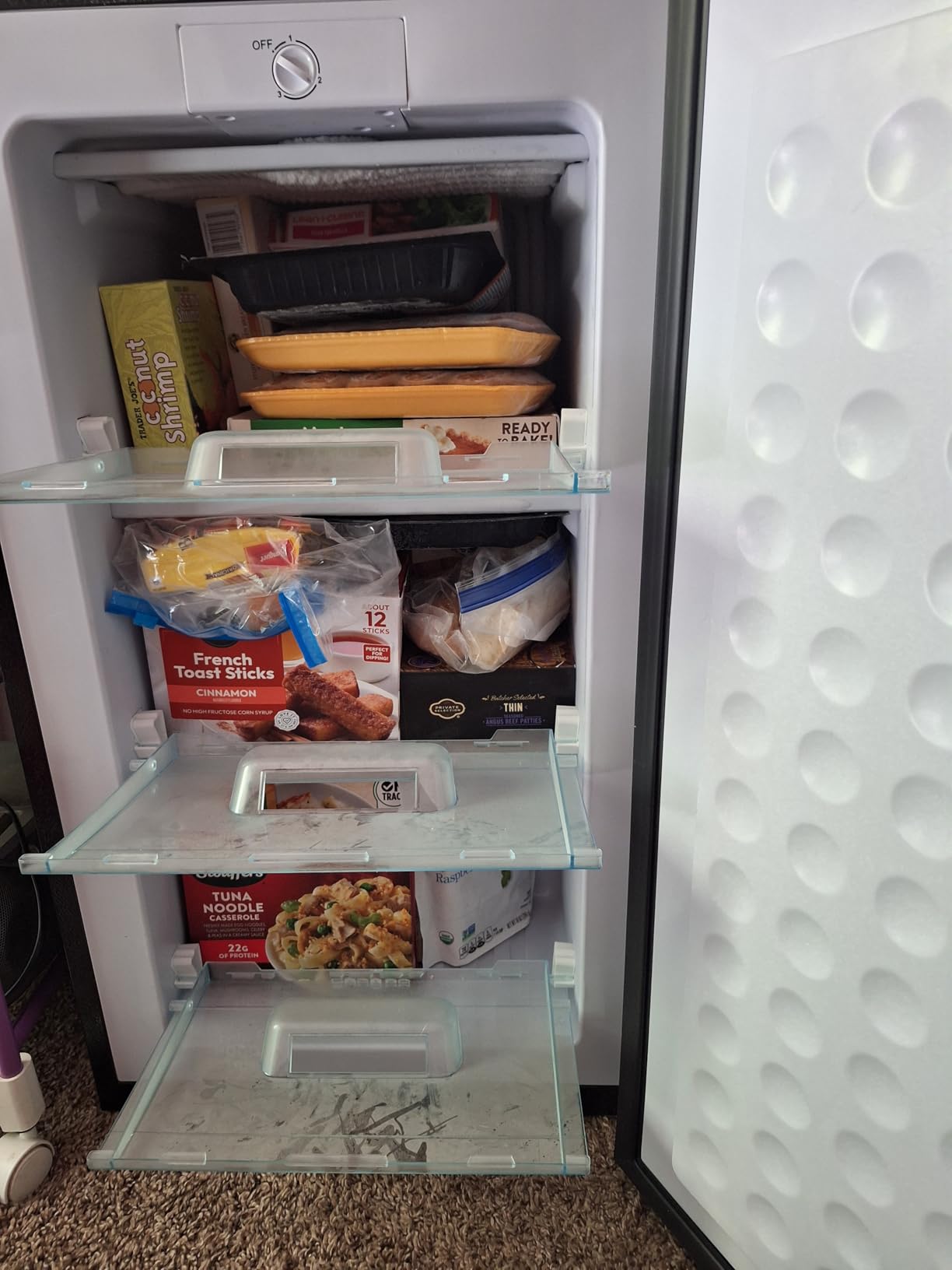 BODACIOUS 3.2 Cu.Ft Mini Freezer - Compact Upright Small Freezer - Silver | Reversible Stainless Door, Plastic Baffles, Stand Up, Adjustable Thermostat, Freestanding, for Kitchen/RV/Dorm/Apartment customer photo 2