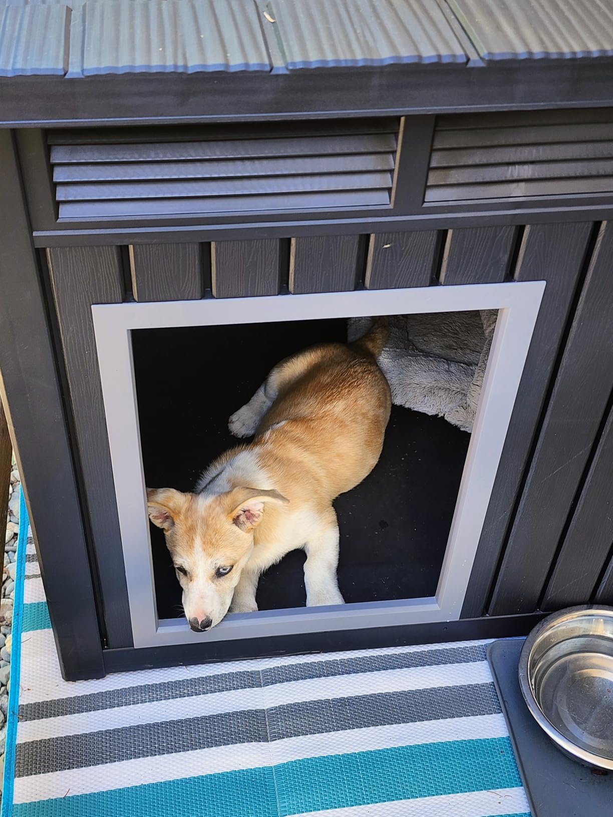 DRATO Large Dog House Outdoor for Indoor, Gray, 42.87 * 32.95 * 31.61 in | Weatherproof, Removable Roof, Fits Small to Large customer photo 1