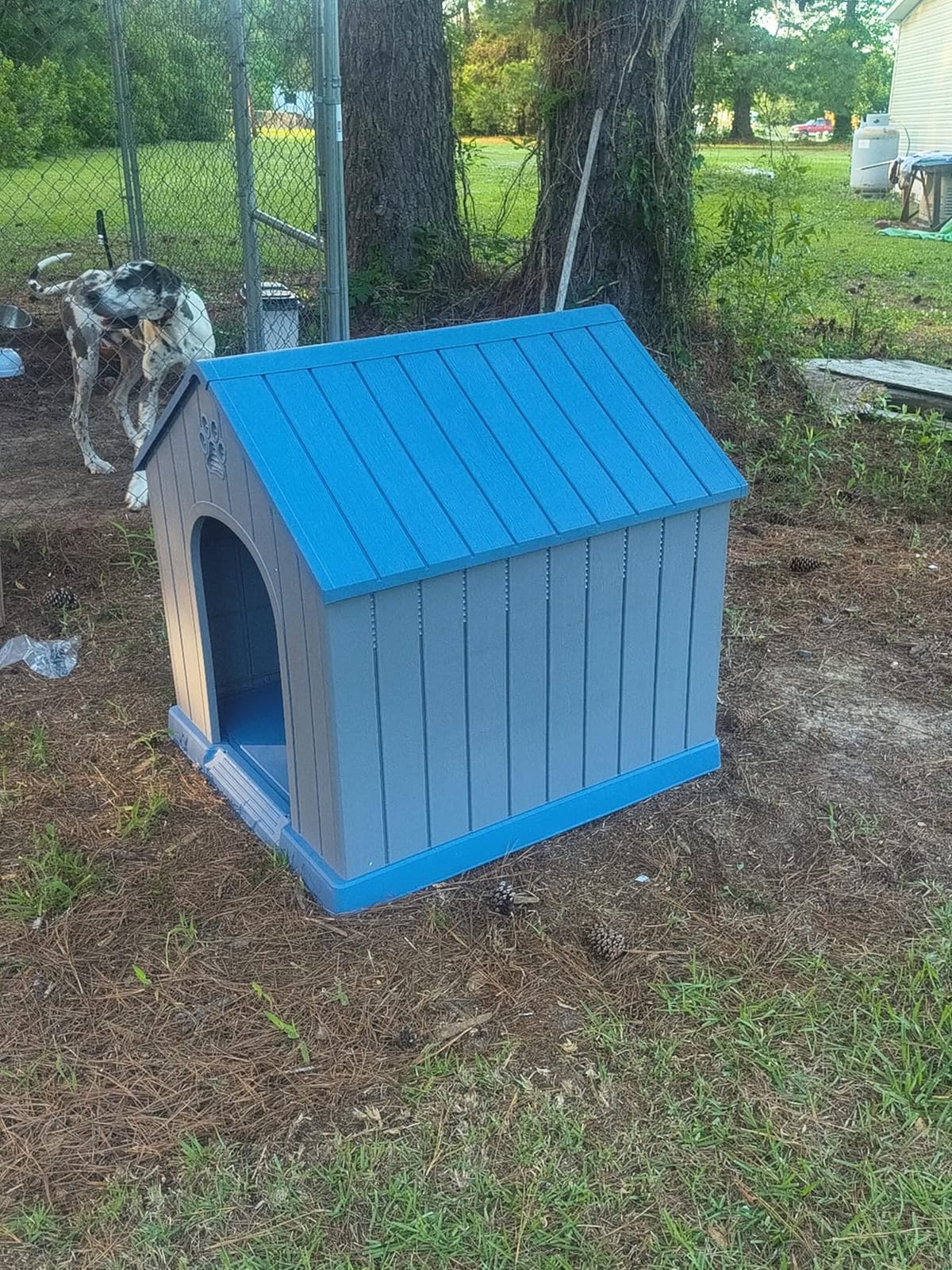 DRATO Large Dog House Indoor Outdoor, Blue, 38.62x36.26x38.07 in | Waterproof, Puppy Shelter with Air Vents and Elevated Floor, Sturdy Dog Kennel for Small to Large Sized Dogs customer photo 1