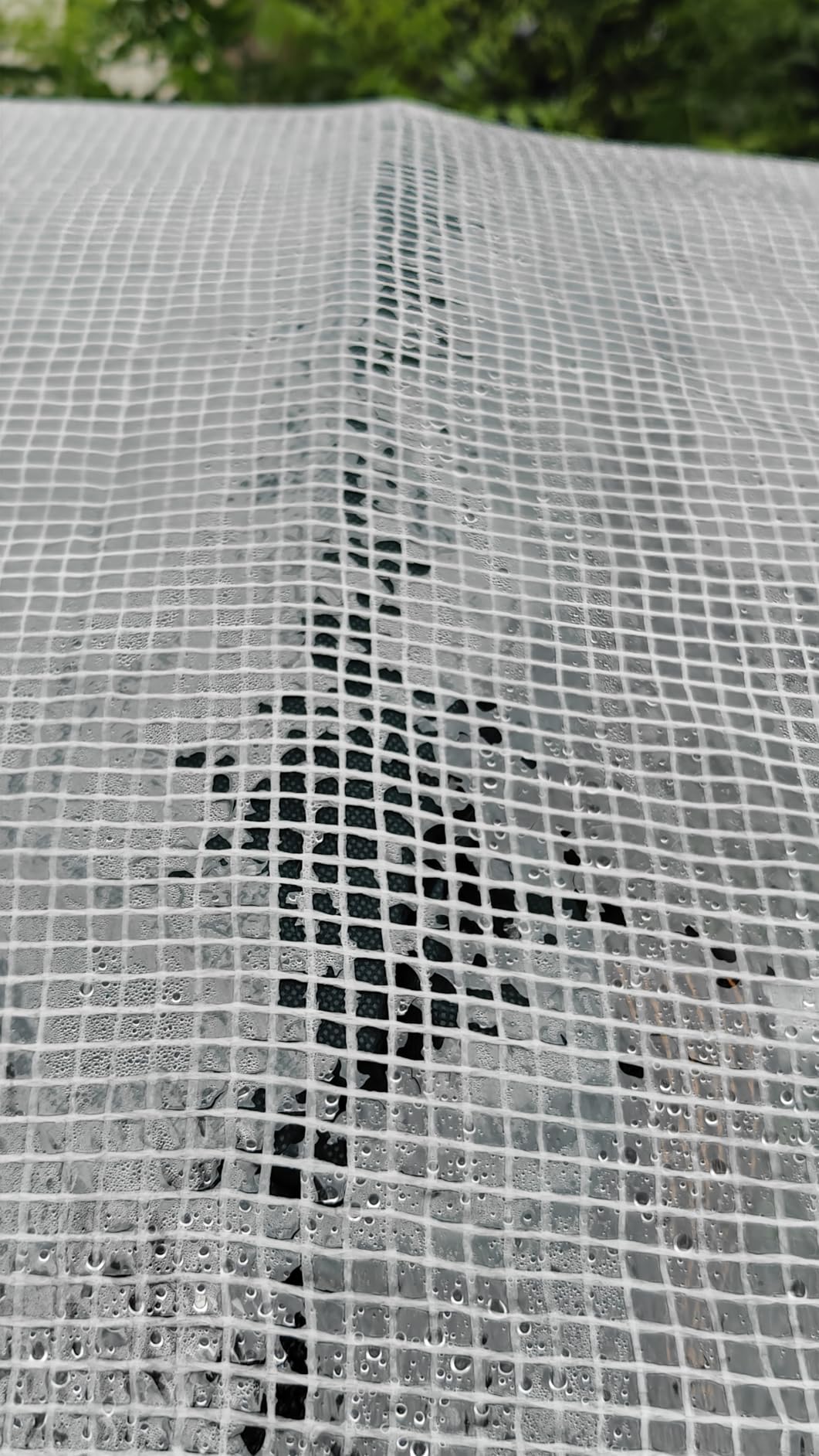 KING BIRD Premium 20x10x6.6FT Greenhouse for Outdoors Large Walk-in House | Upgraded Zipper Galvanized Metal Frame Mesh Door Screen Window Tunnel Hoop for Garden Plant Winter, 2 Stiffeners, White customer photo 1