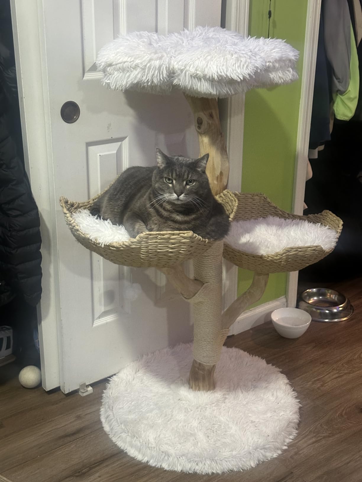 Modern Cat Tree Tower, 45
