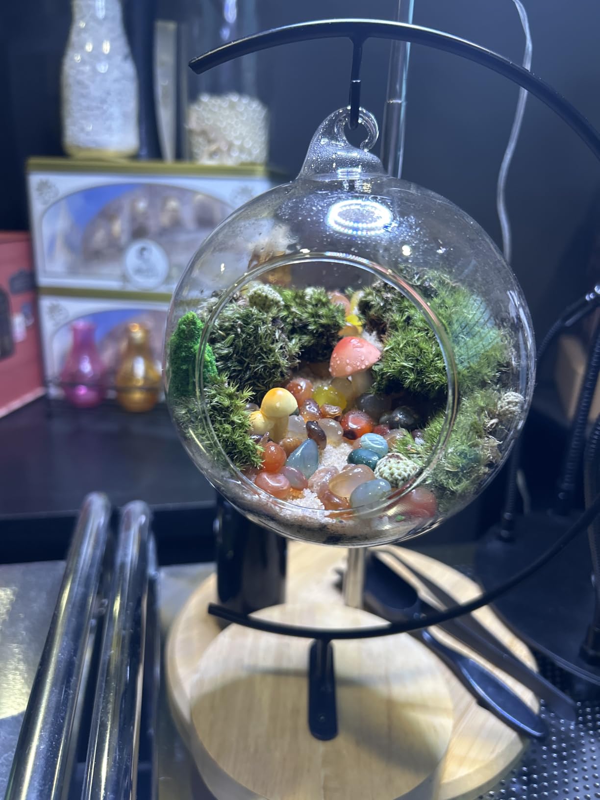 LuckyRunes DIY Terrarium Kit with Live Moss, 15-Piece Glass Globe Set | Complete DIY Experience, Beginner Friendly, Wooden Display Stand, Gift-Ready Set, Indoor Nature Decor, Easy Assembly customer photo 2