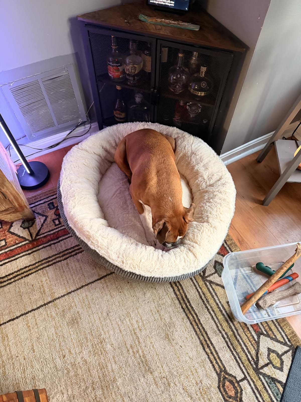 36 inches Calming Donut Dog Bed for Large Dogs, Charcoal | Round Pet Bed with Removable & Washable Cover, Milk Plush Faux Fur, Fits Pets up to 80 lbs customer photo 2