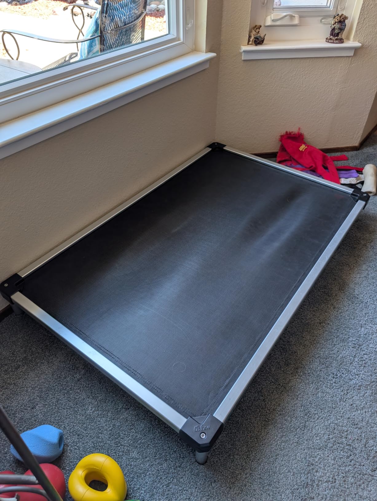 FXW TitanNest Cooling Chew-Proof Elevated Dog Bed for Large Dogs | Easy to Clean, Pre-assembly Raised Cot, Indoor/Outdoor/Camping, 47 x 29 x 7.3in customer photo 1
