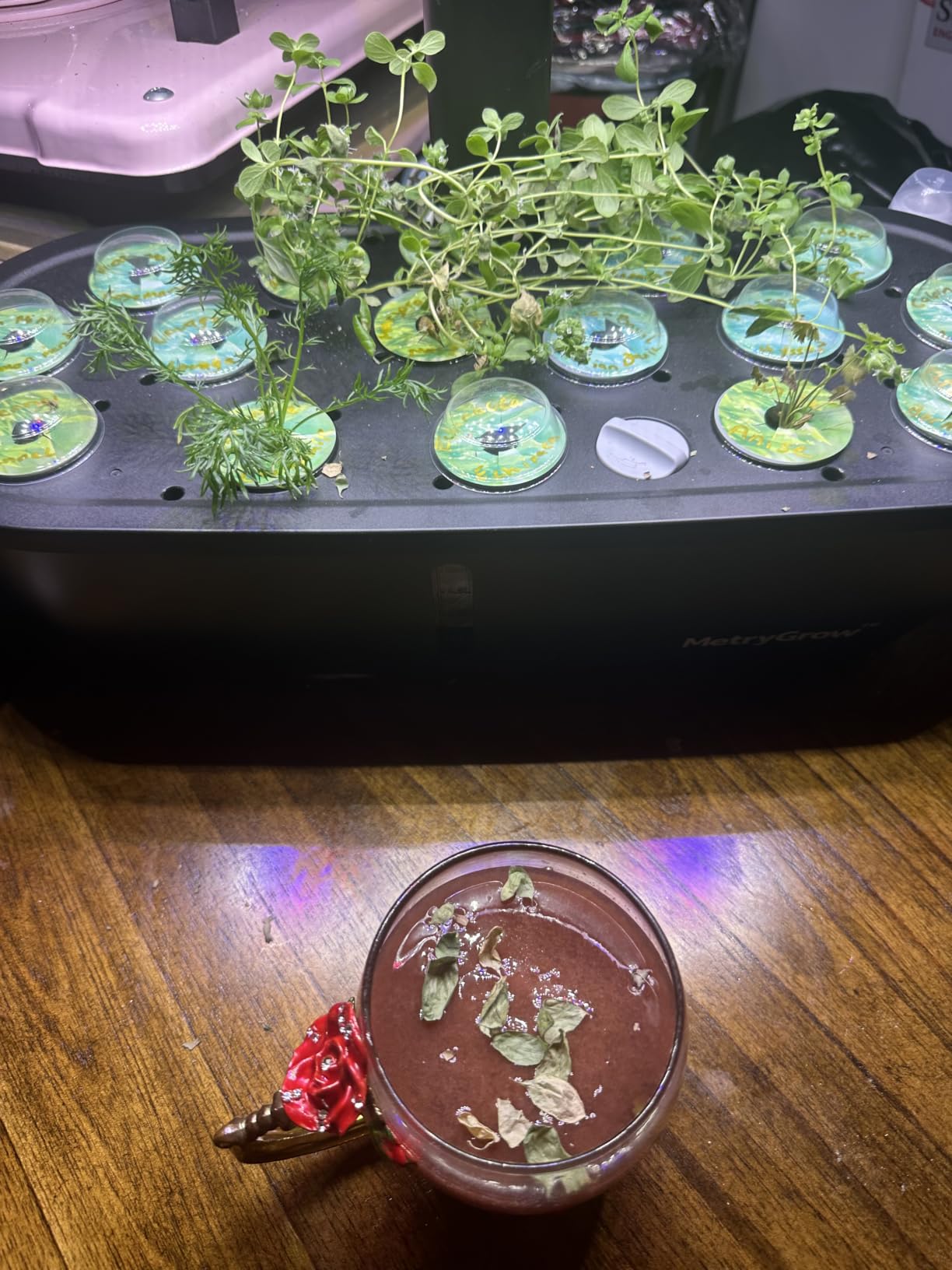 MG-15 Hydroponic Growing System Kits, Smart Indoor Garden with 24W Grow LED Light Full Spectrum, 15 Pods Herb Garden Planter Indoor Gardening for Gifts, Kitchen customer photo 2