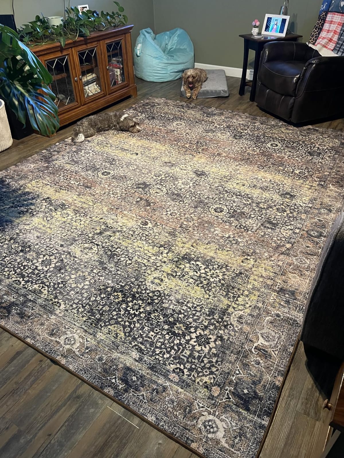 Washable Area Rug 5' x 7' Vintage Traditional Persian Mat - Foldable Distressed Non-Slip Machine Washable Carpet for Living Room Bedroom Kitchen Home Decor - Graphite and Mist customer photo 2