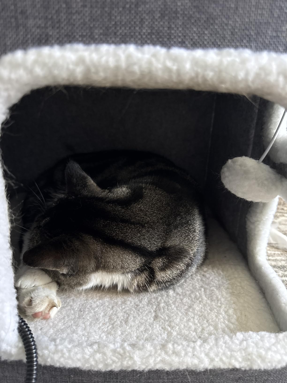 ZOMISIA Heated Cat House Bed for Indoor Cats, Cat Hideway Cube for Sleeping | 25 Timer & 11 Temp Adjustable, Cat Warming Bed for Winter with Fluffy Ball Hanging, Removable Pet Heating Pad, 16x16x13.5 in customer photo 2