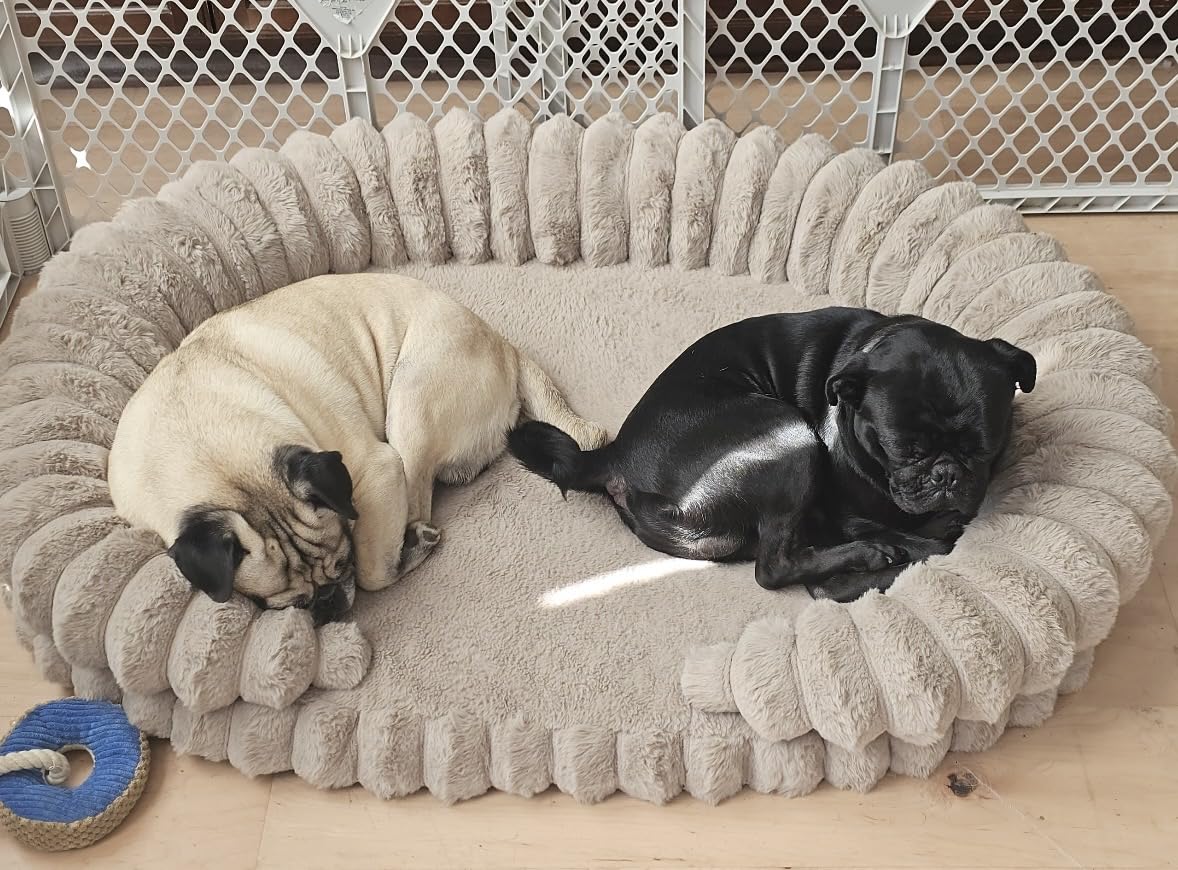 BALANCE Calming Dog Bed for Extra Large Dogs, 42 Inches Oval Washable XL Pet Bed with Sides, Orthopedic Pet Couch Sofa with Non-Slip Bottom, Gray customer photo 2