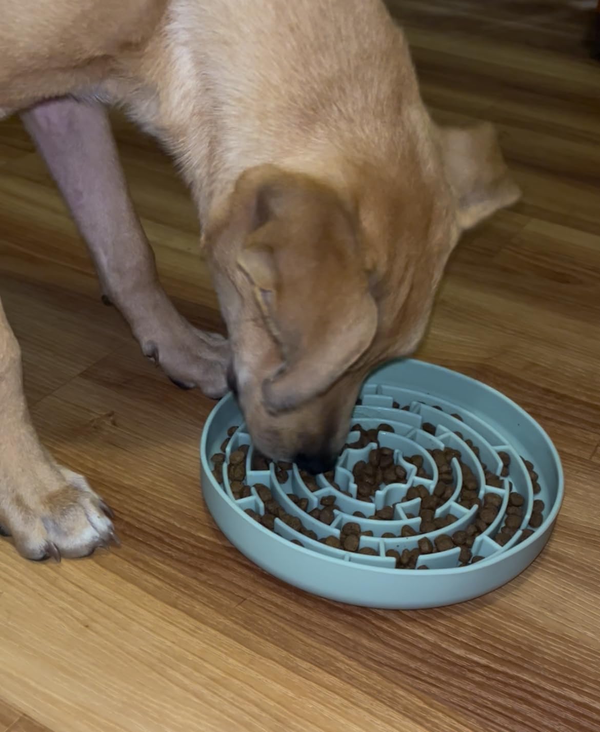 KIPRITII Dog Enrichment Toys with Lick Mat, Puzzle Toy & Slow Feeder | For Small & Medium Dogs, Healthy Eating Habits, Mental Stimulation, Keeps Dogs Engaged customer photo 1