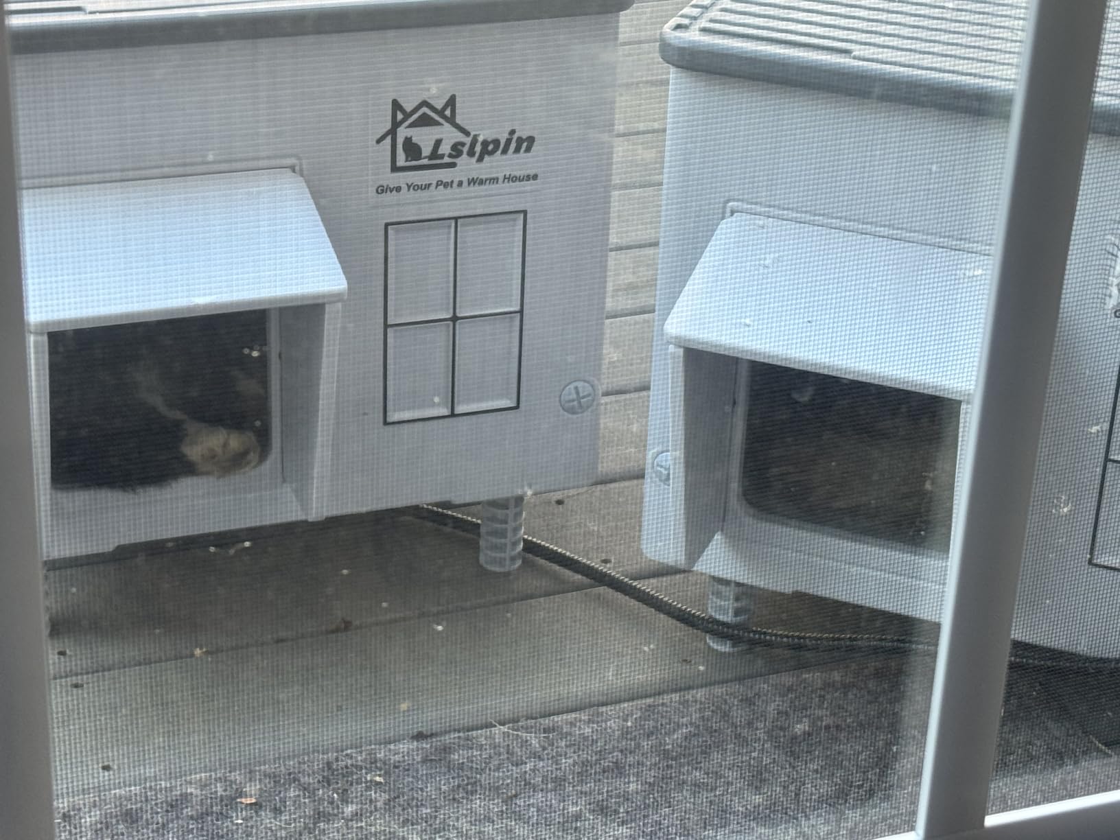 Indestructible Heated Cat House for Outside Cats Winter, Weatherproof & Insulated & Elevated Feral Cat House with Escape Door, Outdoor Indoor Cat Shelter for Stray Barn Cat 17.7×14.9×17.5 customer photo 2
