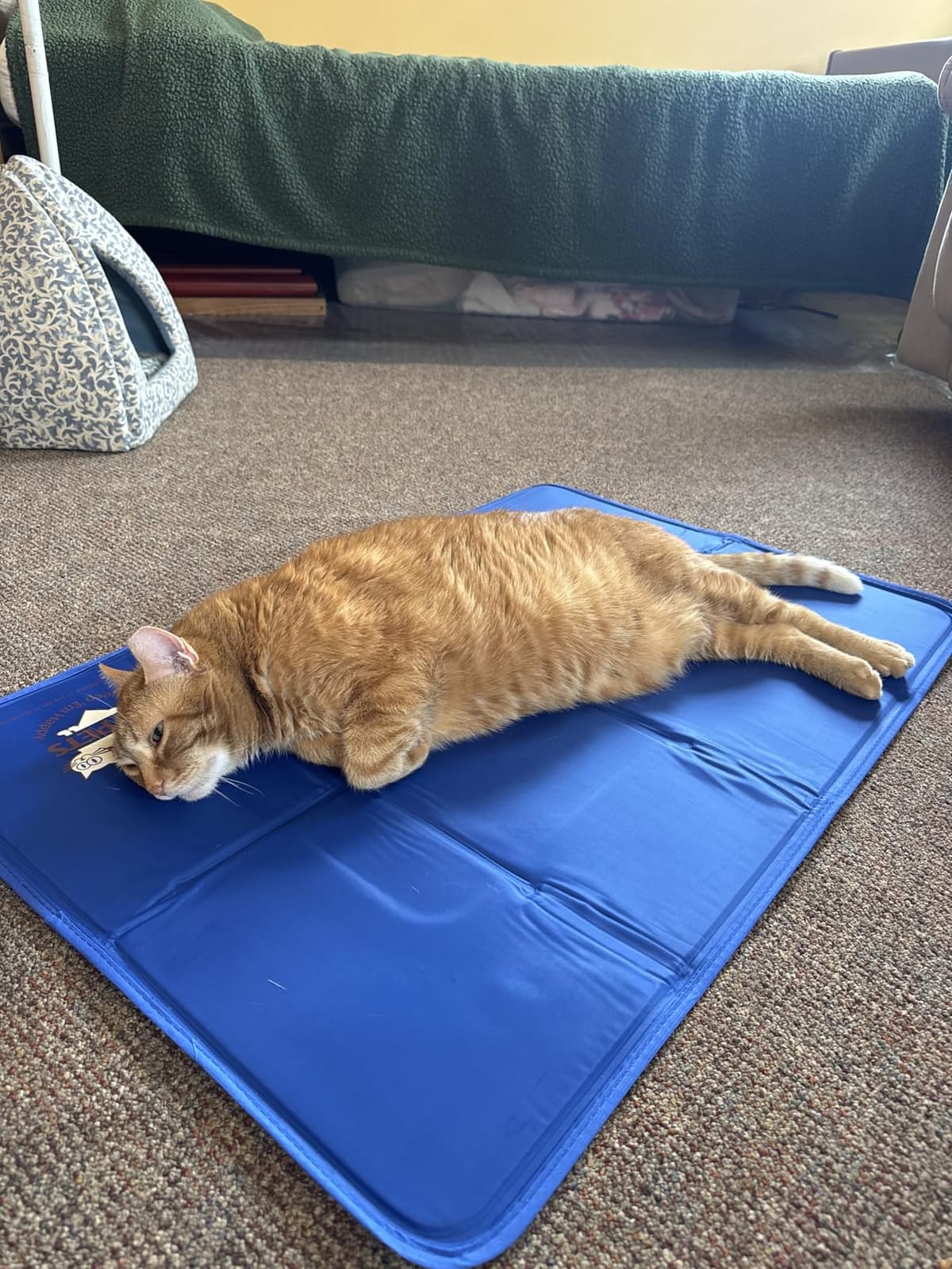 Arf Pets Dog Self Cooling Pet Bed Solid Gel Based | Durable & Non-Toxic | Includes a Foam Based Bolster Bed for Extra Comfort | Pressure-Activated customer photo 1