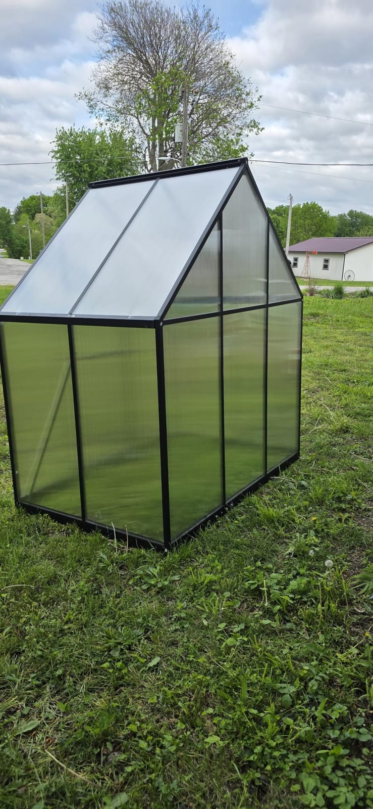 6X4FT Greenhouse with Thermometers, Small Greenhouse for Outdoors | Polycarbonate Green House for Outside with Lockable Hinged Door, Easy Assembly Walk-in Greenhouse with Roof Vent for Backyard customer photo 2