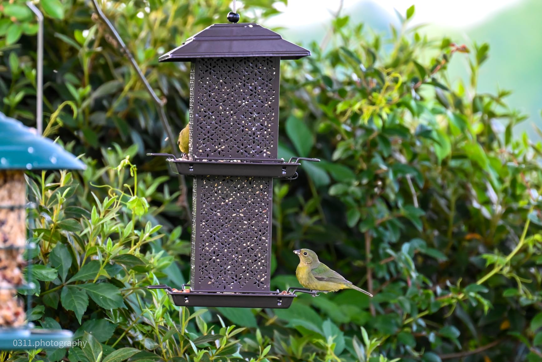 HouseSapp Bird Feeders for Outdoors Hanging - 6lb Large Capacity Metal Double Tier Bird Feeder, Chew-Proof, Weather and Water Resistant Wild Bird Feeders, Outside and Garden Decoration customer photo 2