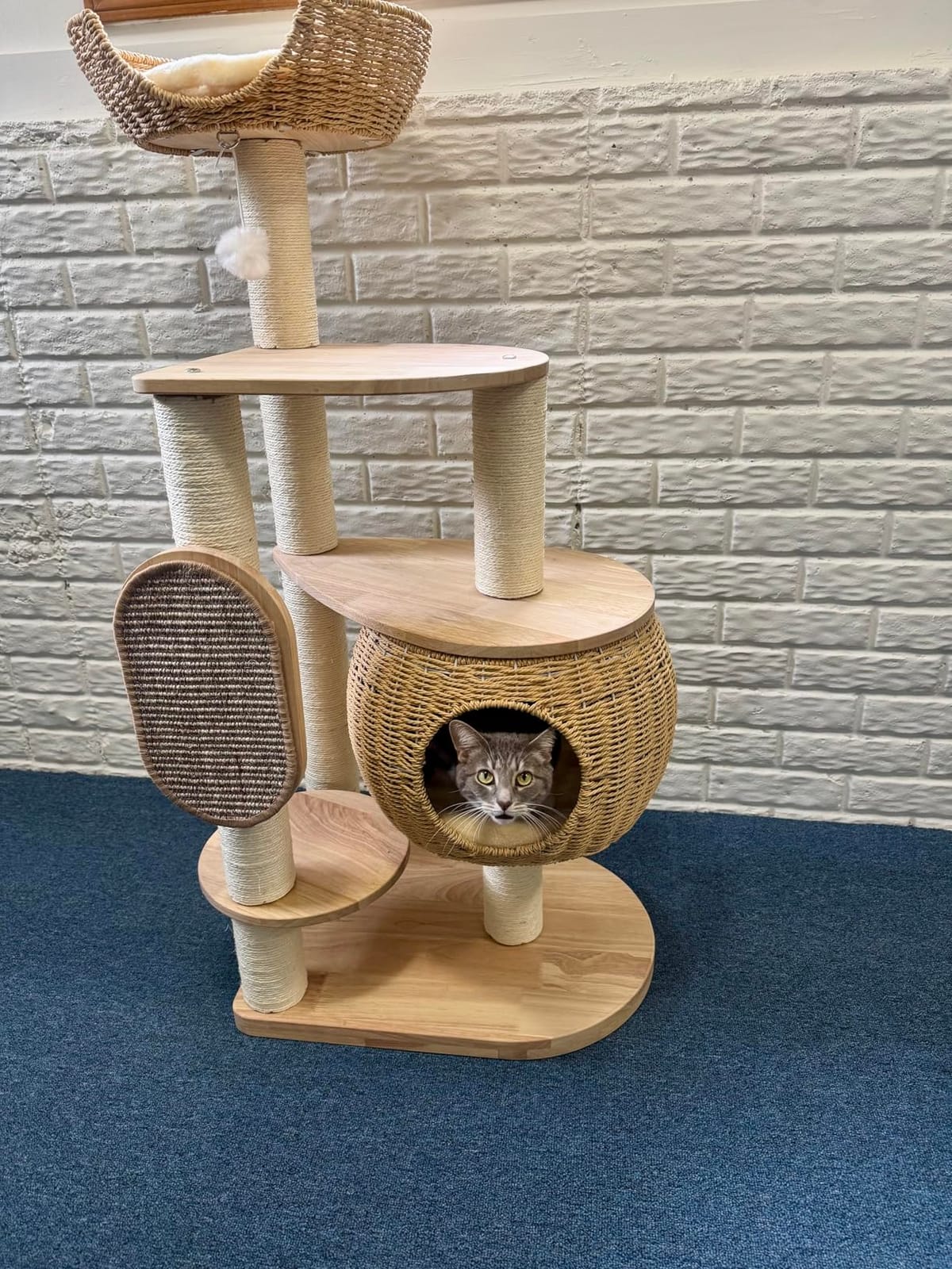Modern Cat Tree，Cat Tower with Scratching Post, Handwoven Pumpkin Nests and Baskets,Sisal Blanket customer photo 2