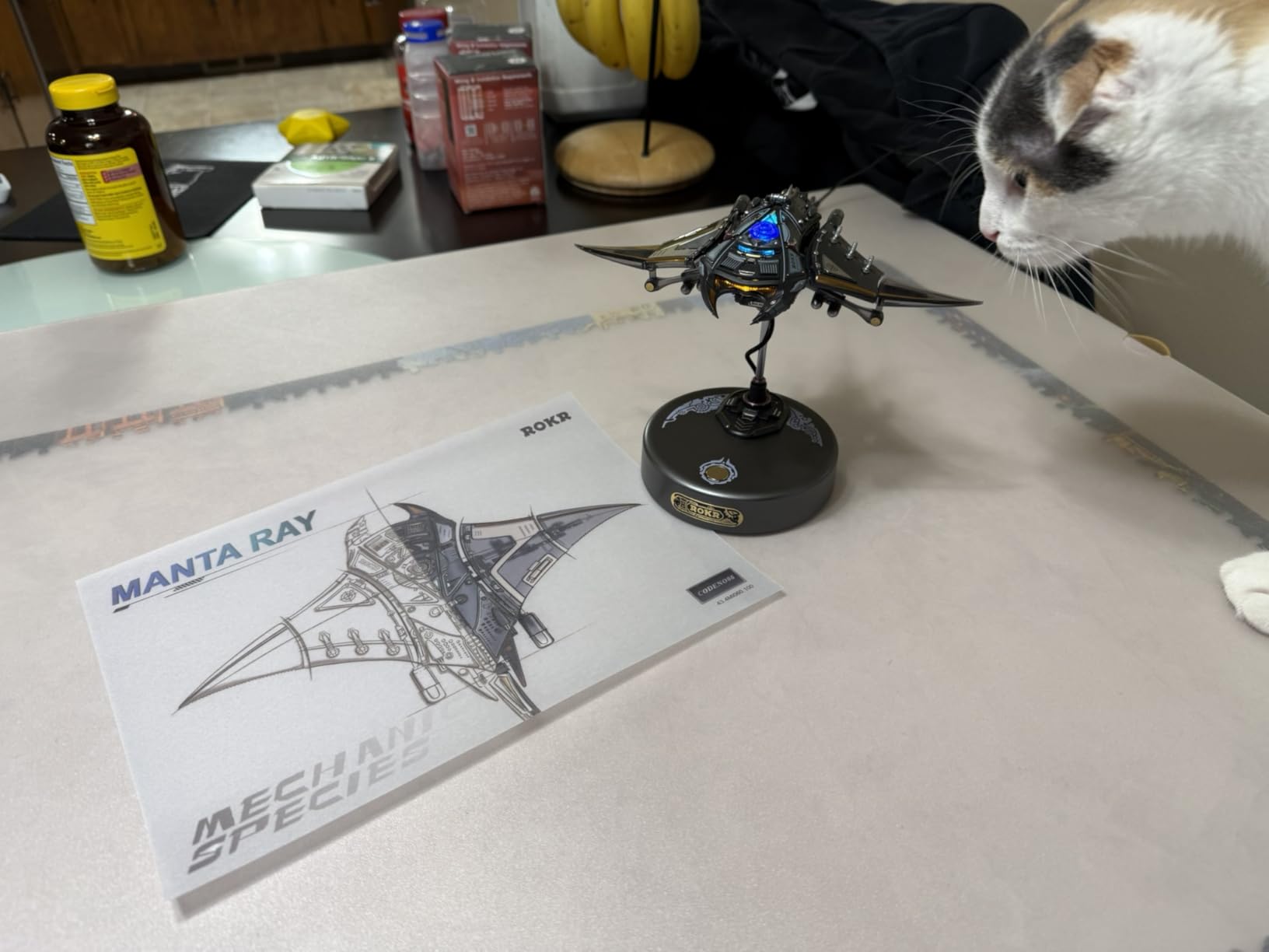 ROKR 3D Metal Puzzles for Adults, Manta Ray Mechanical, 3D Metal Model Kits for Adults to Build, Unique Electric Mechanical Toy customer photo 1