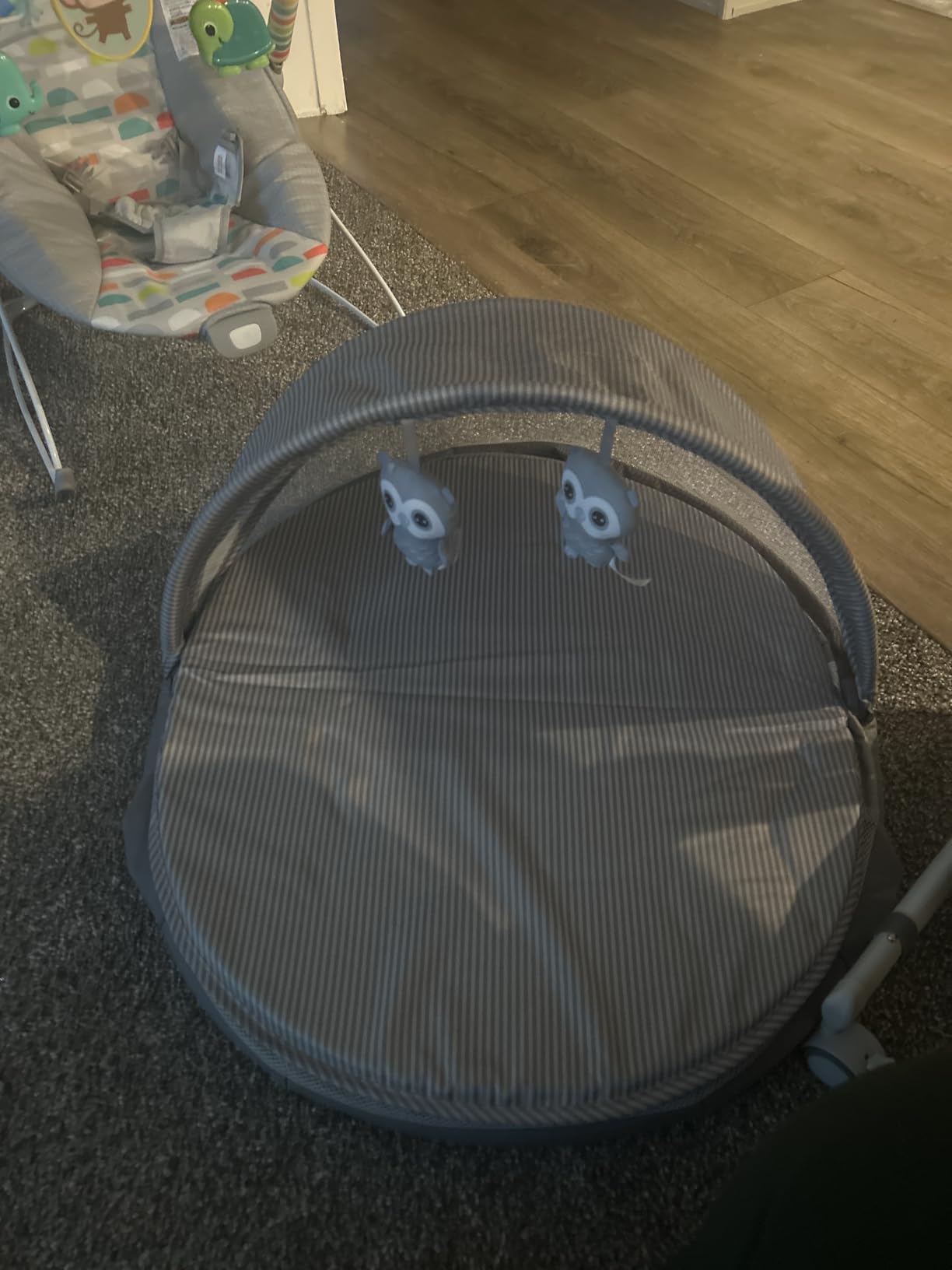 Safety 1st Sleepy Traveler Bassinet, Dreamscape customer photo 1