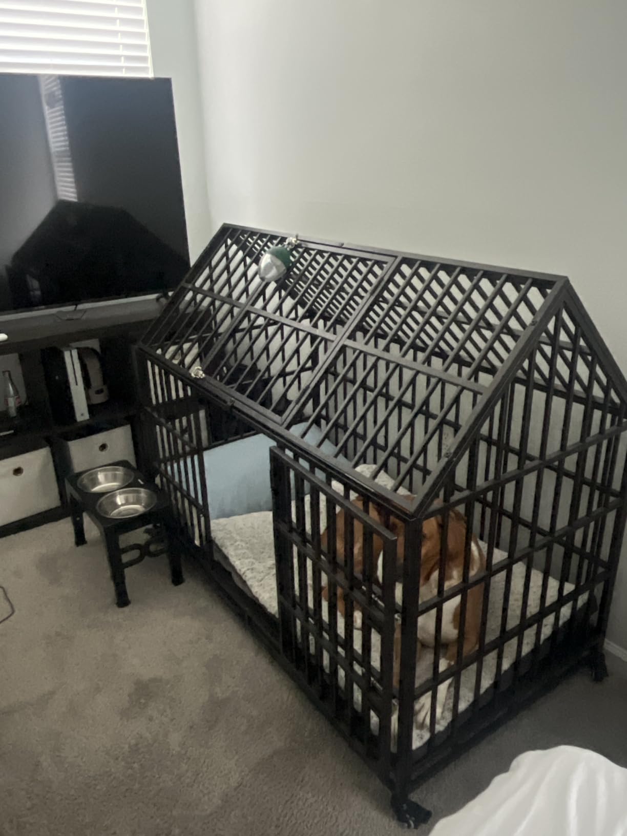 58 inch Heavy Duty Indestructible Dog Crate, New Upgraded Reinforced for Large Dogs, XXL Dog Crate for High Anxiety Dogs/Max Load Capacity 250lbs/Double Door with Wheels customer photo 2