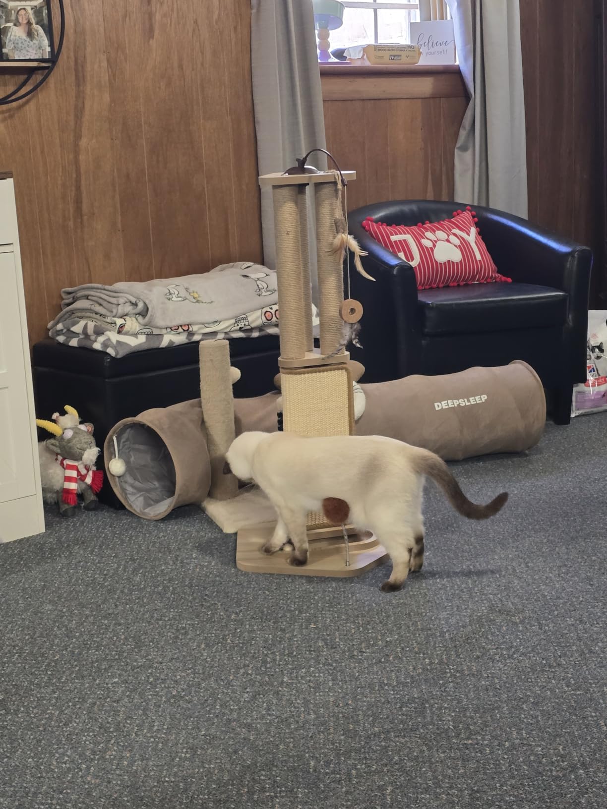 Odoland 34 Inch Cat Scratching Post for Large Cats with 4 Interactive Toys | tall cat scratching post with heavy duty solid wood base for large indoor cats. Durable natural sisal post. customer photo 1
