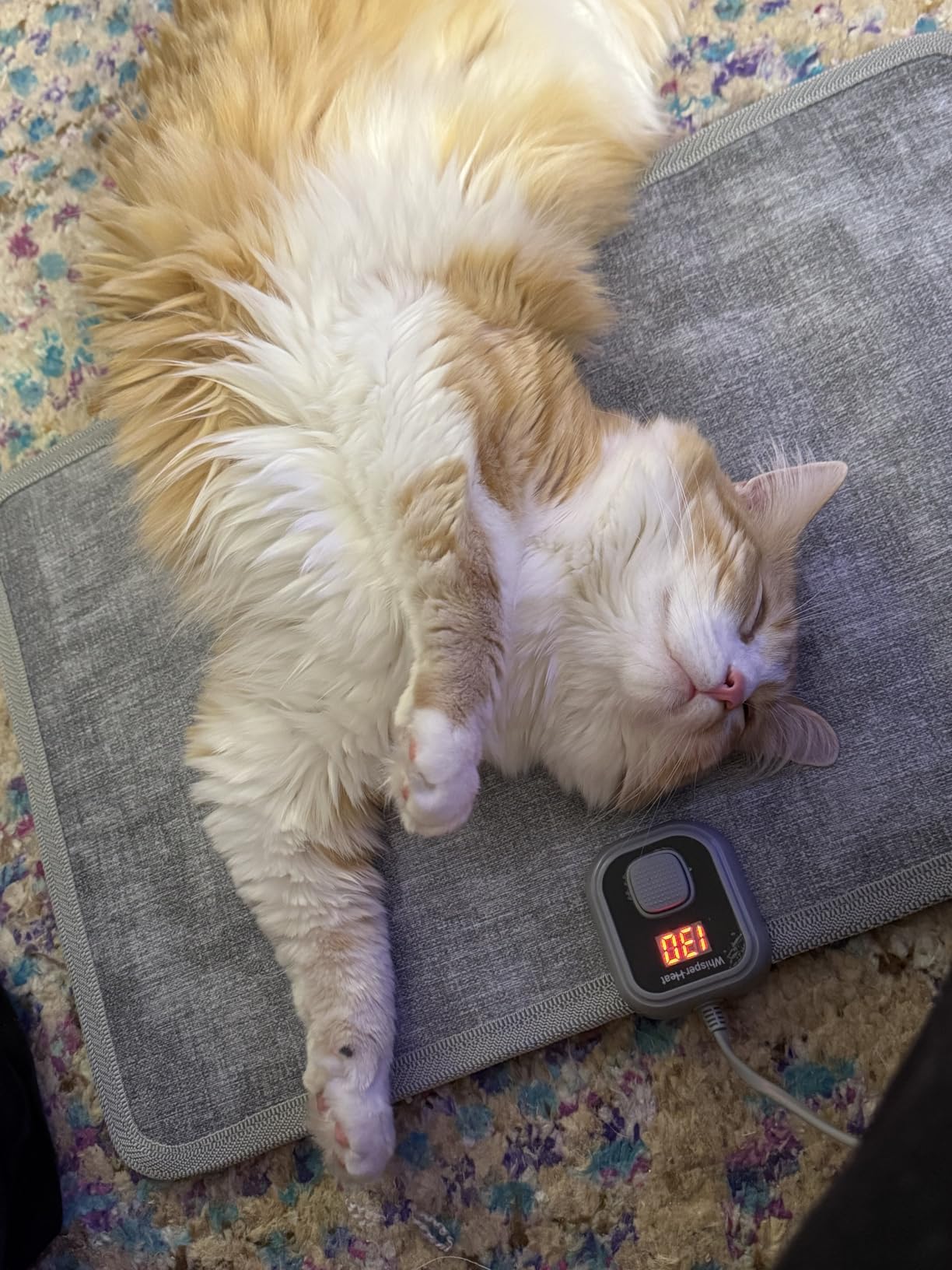 WhisperHeat Heated Floor Mat - Electric Tap-to-Activate Foot & Floor Warmer- Silent, Energy-Efficient Underfoot Heating Mat customer photo 1