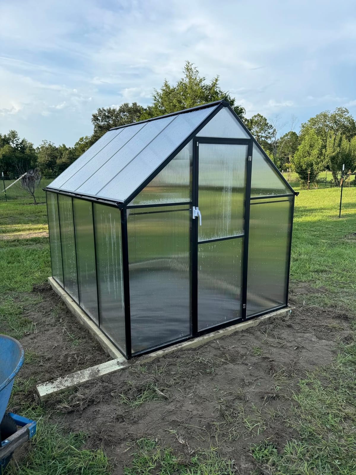 CDCASA 12x10x10 FT Polycarbonate Greenhouse for Outdoors w/2 Windows | Easy Assembly, Large Thicker Aluminum Heavy Duty Walk-in Greenhouses Kit, Green House for Outside, Sunroom, Backyard, Garden customer photo 2