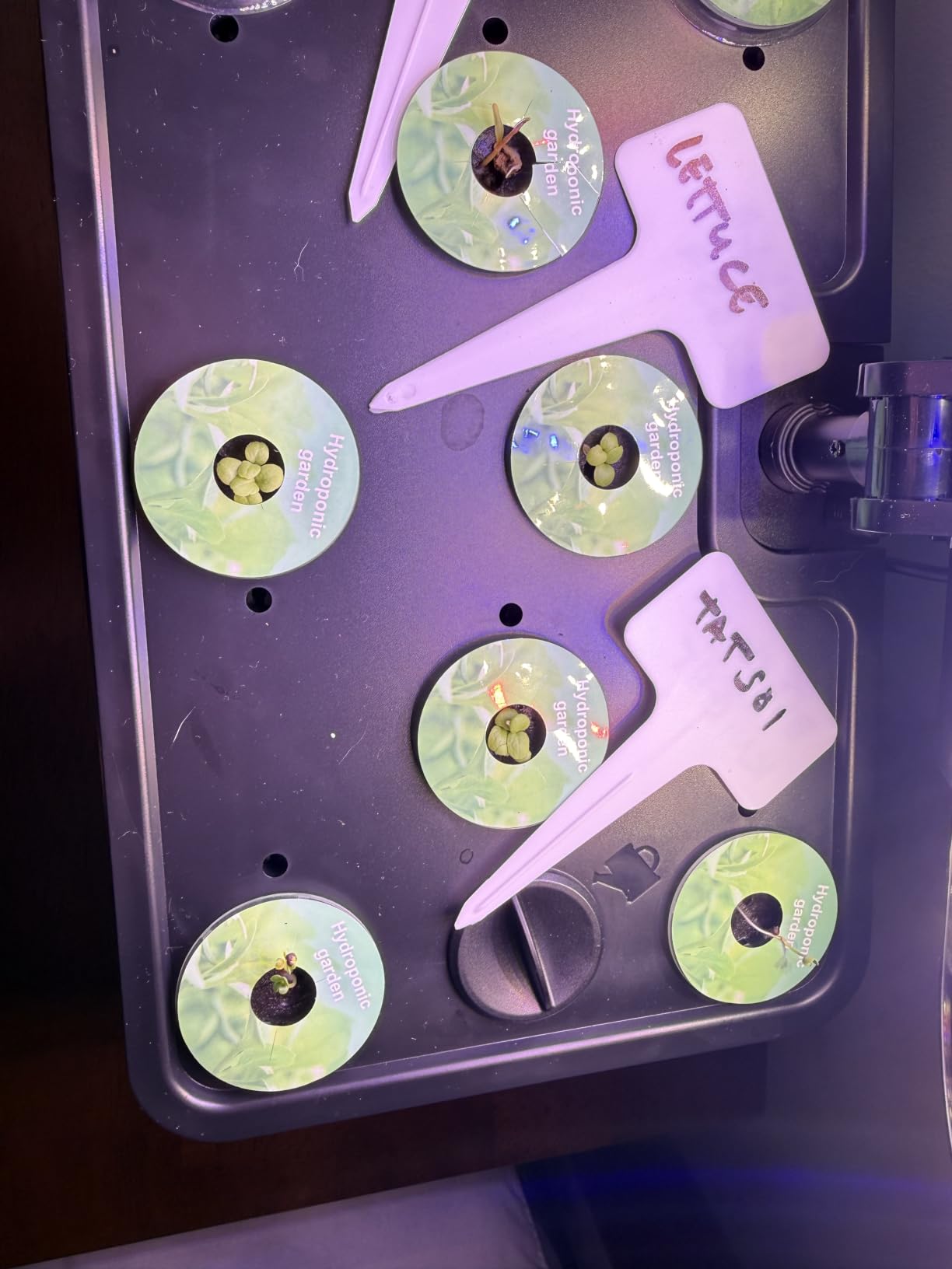 URUQ 8 Pods Hydroponics Growing System with LED Grow Light - Black customer photo 1