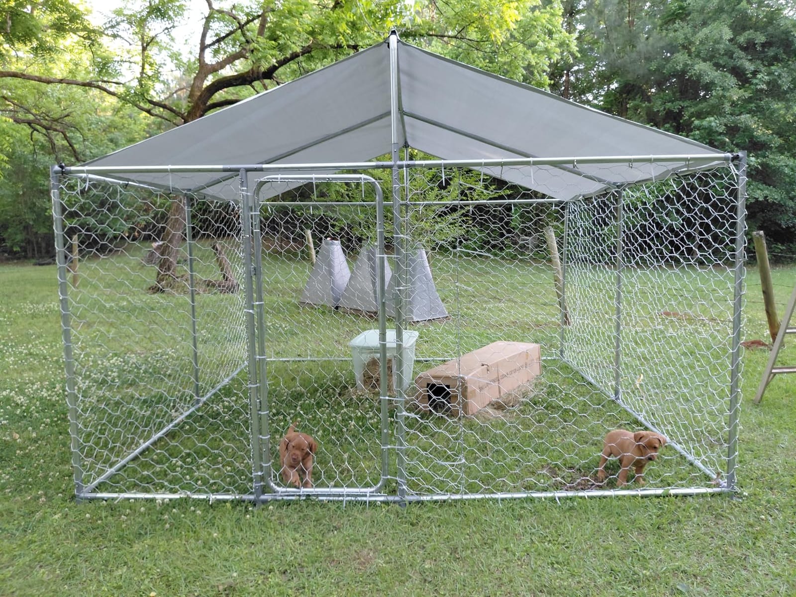 10x10FT Large Outdoor Dog Kennel Outside, Heavy Duty Dog Pen with Roof | Heavy Duty Dog Enclosure with Waterproof Oxford Roof, Security Lock, Large Outdoor Dog Run for Backyard Dogs & Small Animals customer photo 1