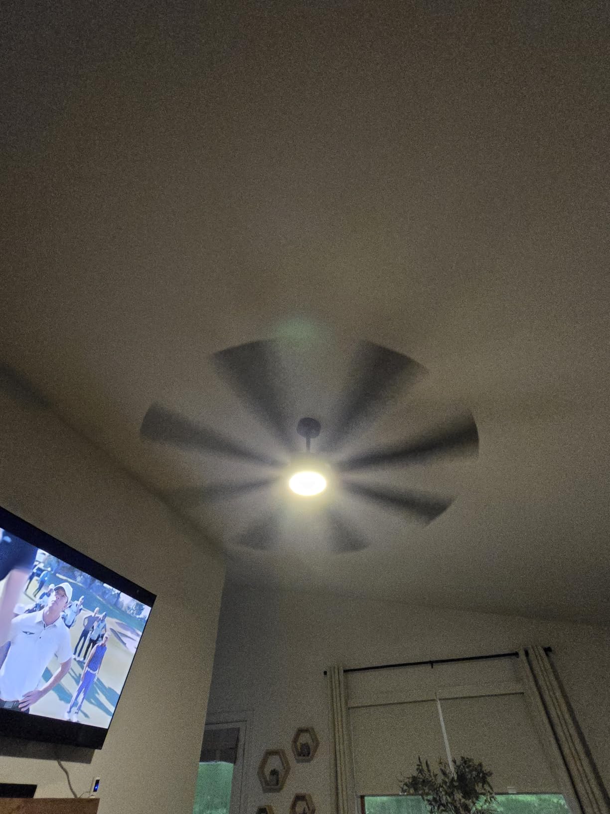 Fanbulous 72 Inch Ceiling Fans with Lights DC Motor, Remote & APP Control | Damp Rated, Dimmable, 3CCT, Memory Function, Dual-Sided Reversible Blades, Flat/Sloped Ceiling, Living Room, Covered Patio customer photo 2