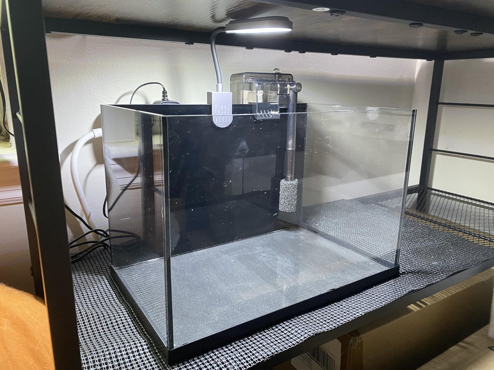 2.8 Gallon Glass Fish Tank, Small Fish Tank with Light and Filter | Aquarium Starter Kit, Nano Shrimp Aquarium for Small Fish, Shrimp, or Betta, Desktop Corner customer photo 1