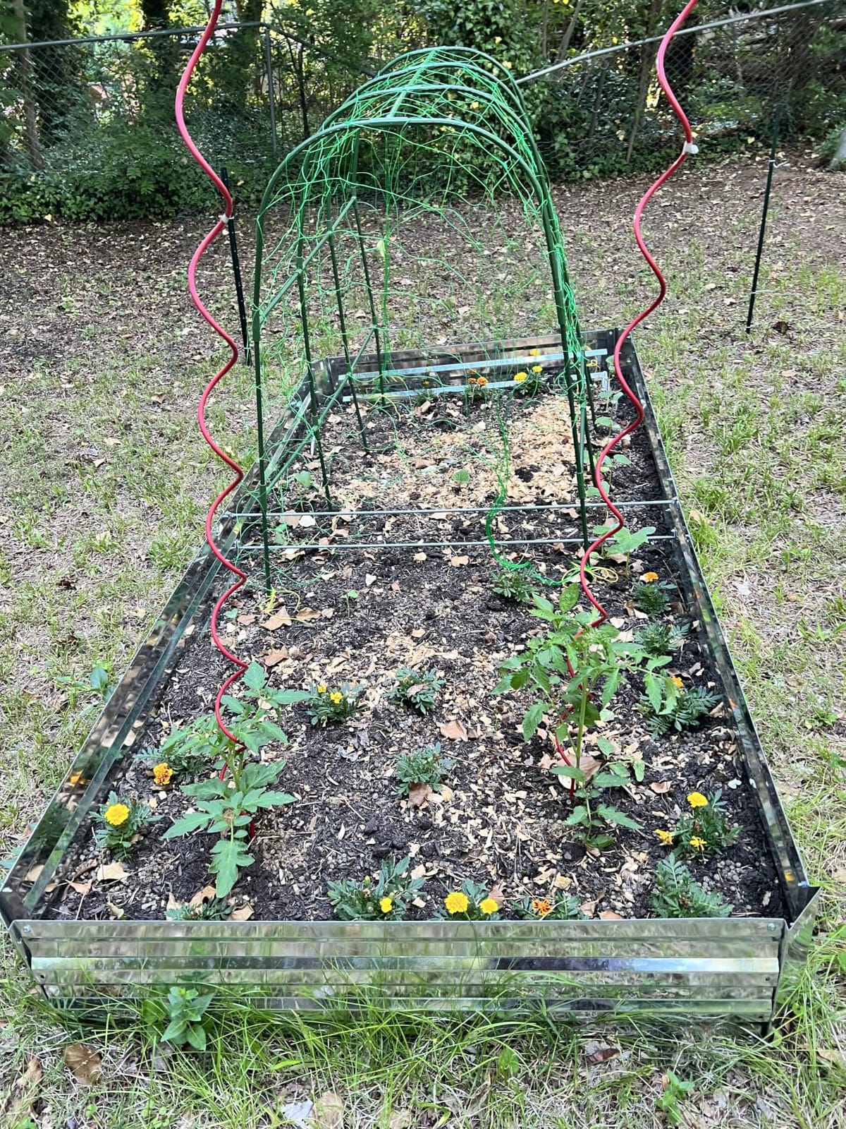 Galvalume Raised Garden Bed 8x4x1.95ft Tall Deep Planter Outdoor | 3X Anti-rust Aluminum-Zinc Steel, Waist-High No-Bending, 466Gal Deep Raised Bed for Root Veggies & Potatoes, Heavy-Duty customer photo 1