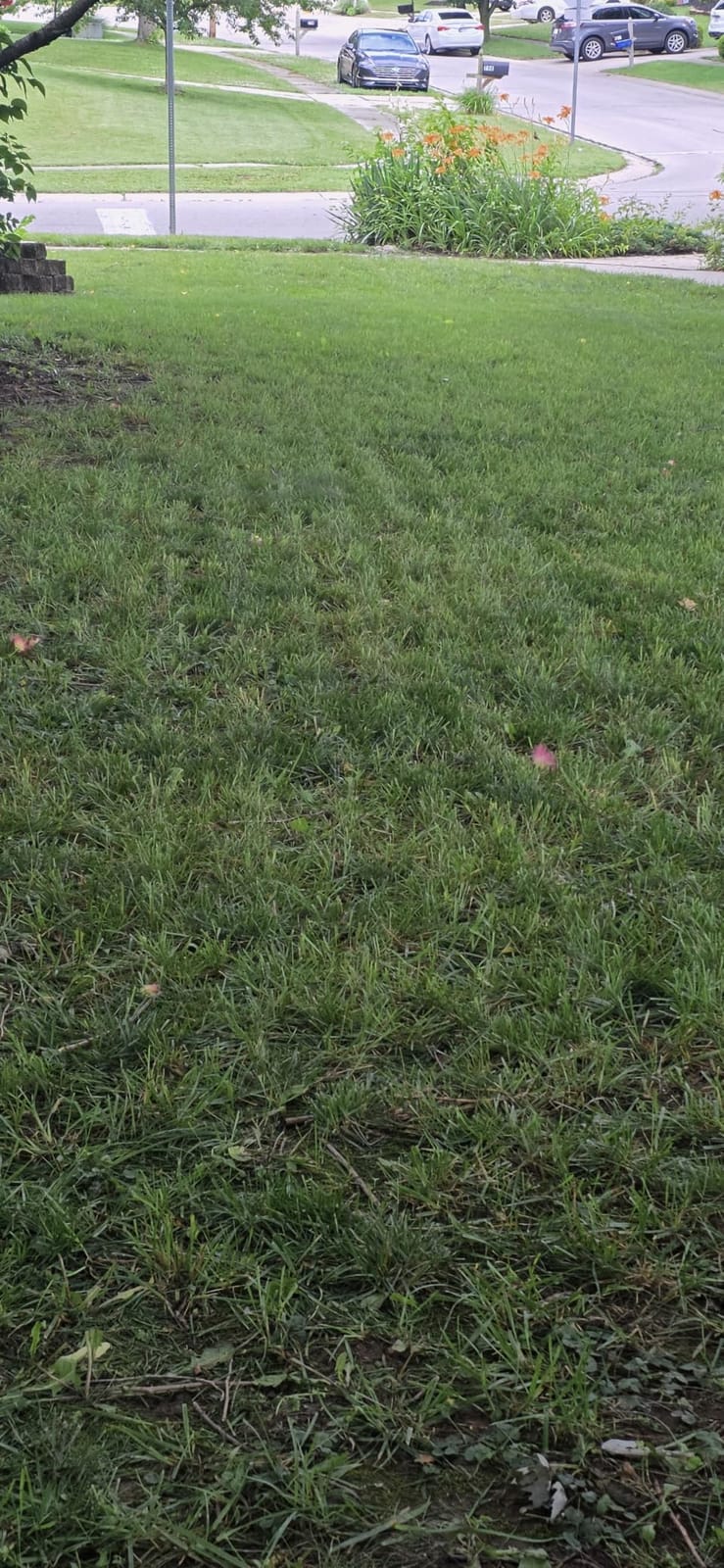 Sunseeker S4 Robot Lawn Mower, 3D LiDAR, Vision AI, 0.25 Acre, Wire-Free | Reliable wire-free mowing for homeowners with complex yards, trees, shade and narrow passages. customer photo 2