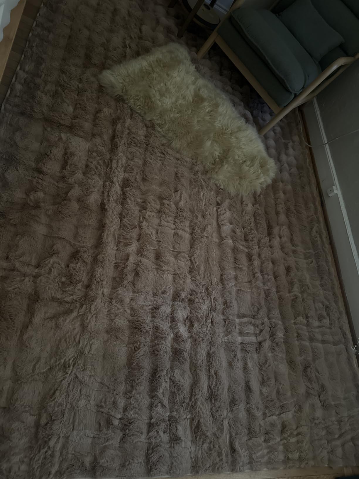 Creamy White Rabbit Plush Rug 8'x10', Fluffy Faux Fur Shaggy Area Rug for Nursery, Kids Room Decor, Soft Fuzzy Carpet for Living Room, Bedroom, Teen Girls Room customer photo 2