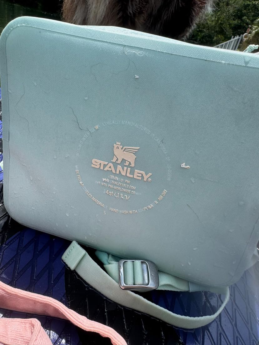 Stanley All Day Madeleine Backpack Soft Cooler 20 Can Cooler with Handle and Shoulder Straps Insulated Travel Bag with Zipper BPA-Free customer photo 1