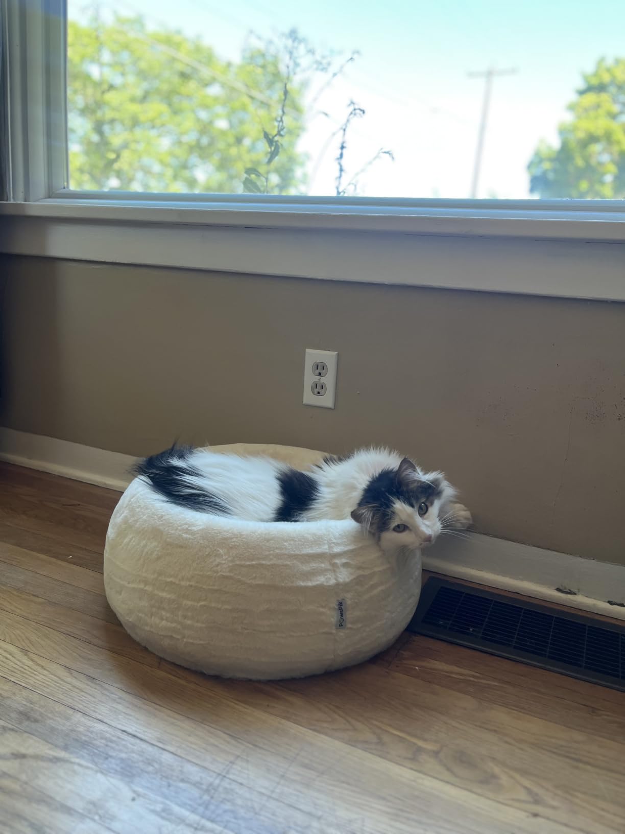 PAWSPIK Comfort Orthopedic Faux Rabbit Fur Memory Foam Cat & Small Dog Bed | Orthopedic Memory Foam, Non-slip Bottom, Removable Washable Cover, Ultra-soft Faux Rabbit Fur, Bolster Head Support customer photo 2