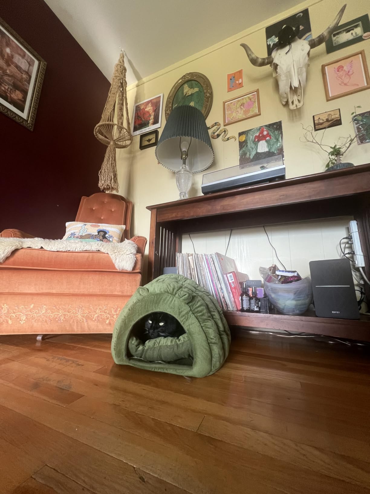 Cat Cave Bed, Orthopedic Memory Foam Anti Anxiety Cat Bed for Indoor Cats, Cozy Plush Caterpillar Tunnel Cat Bed, Non Slip Pet Bed Fits Cats Up to 15 lbs, Green customer photo 1