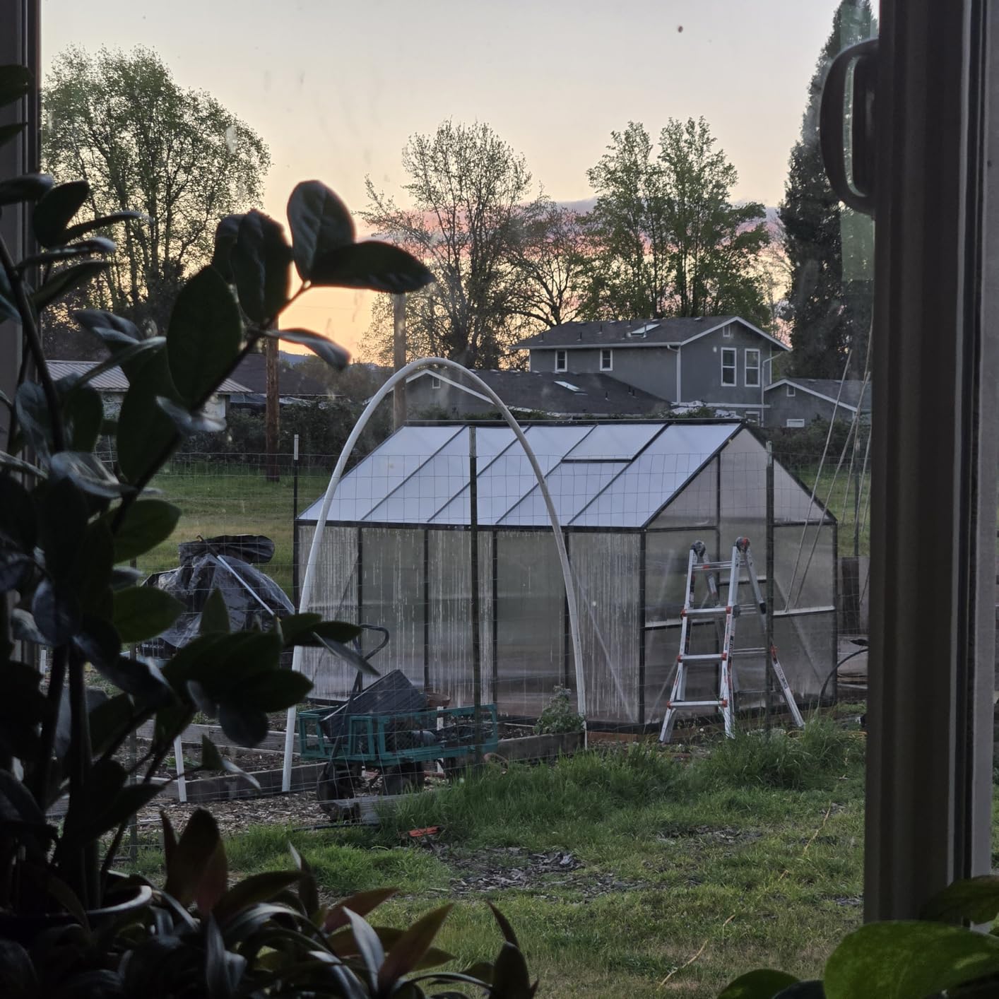 6x10FT Greenhouse with Hygrometer, Windproof Warm Plant Green Houses | Polycarbonate Green House with UV Protection, Heavy Duty Greenhouse with Aluminum Frame, Roof Vent & Quick-Install Design customer photo 1