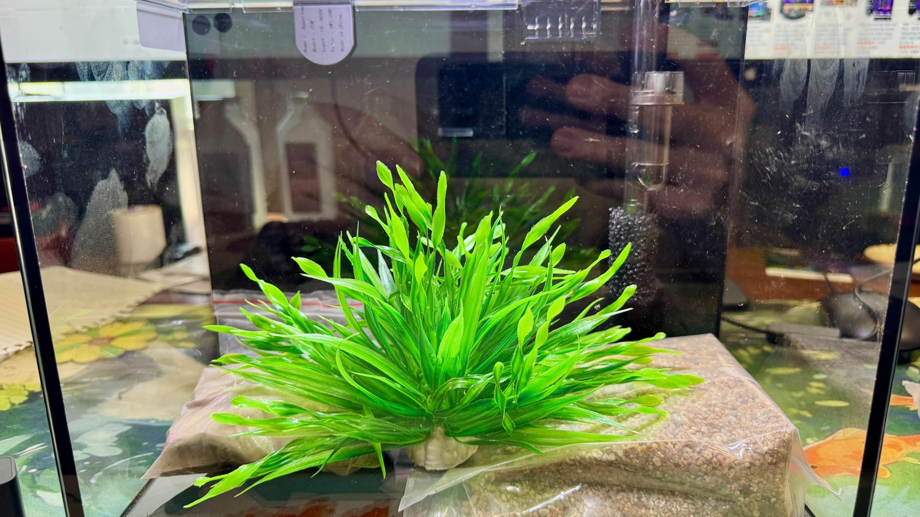 2.5 Gallon Nano Aquarium Kit, Glass Small Fish Tank Starter Kit with Light, Filter, Gravel Rock, Lid. Ultra Clear Rimless Desktop Fish Tank for Small Fish, Betta, Shrimp. Complete Version, Black customer photo 1
