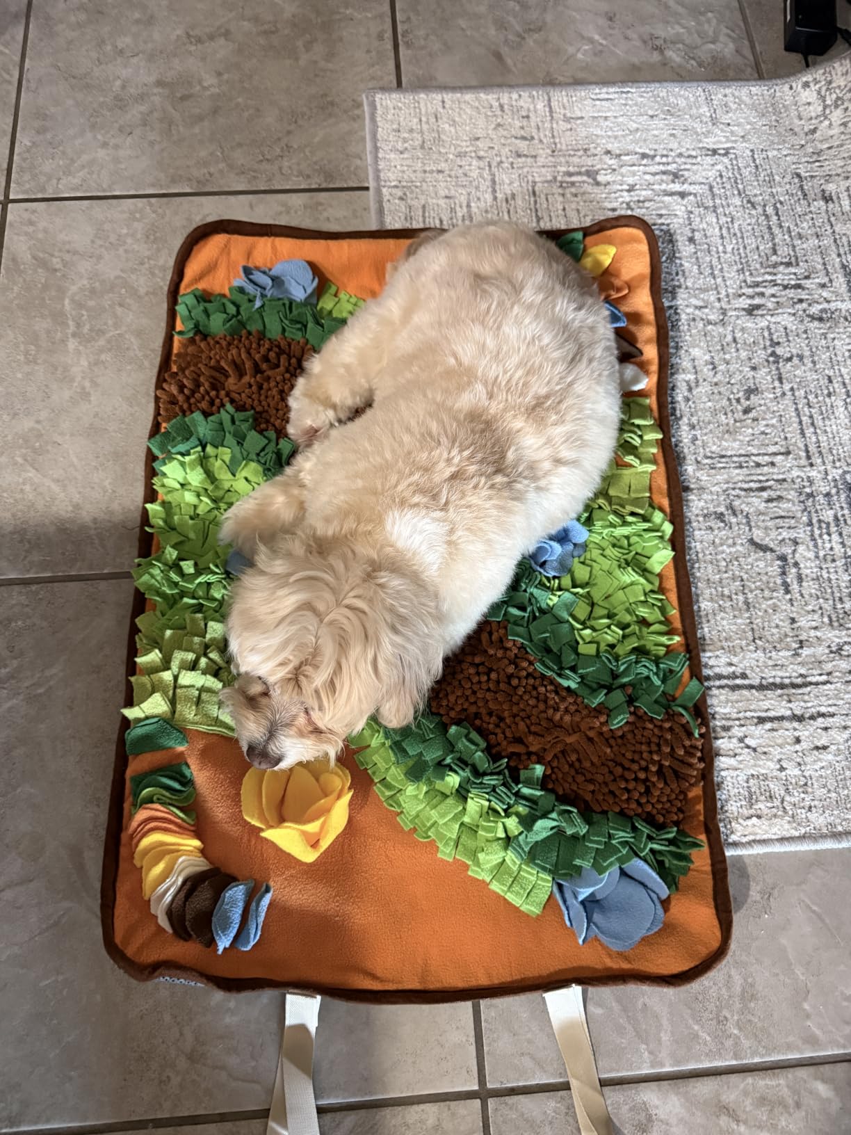 Avont Snuffle Mat for Dogs, Extra-Large 29.9