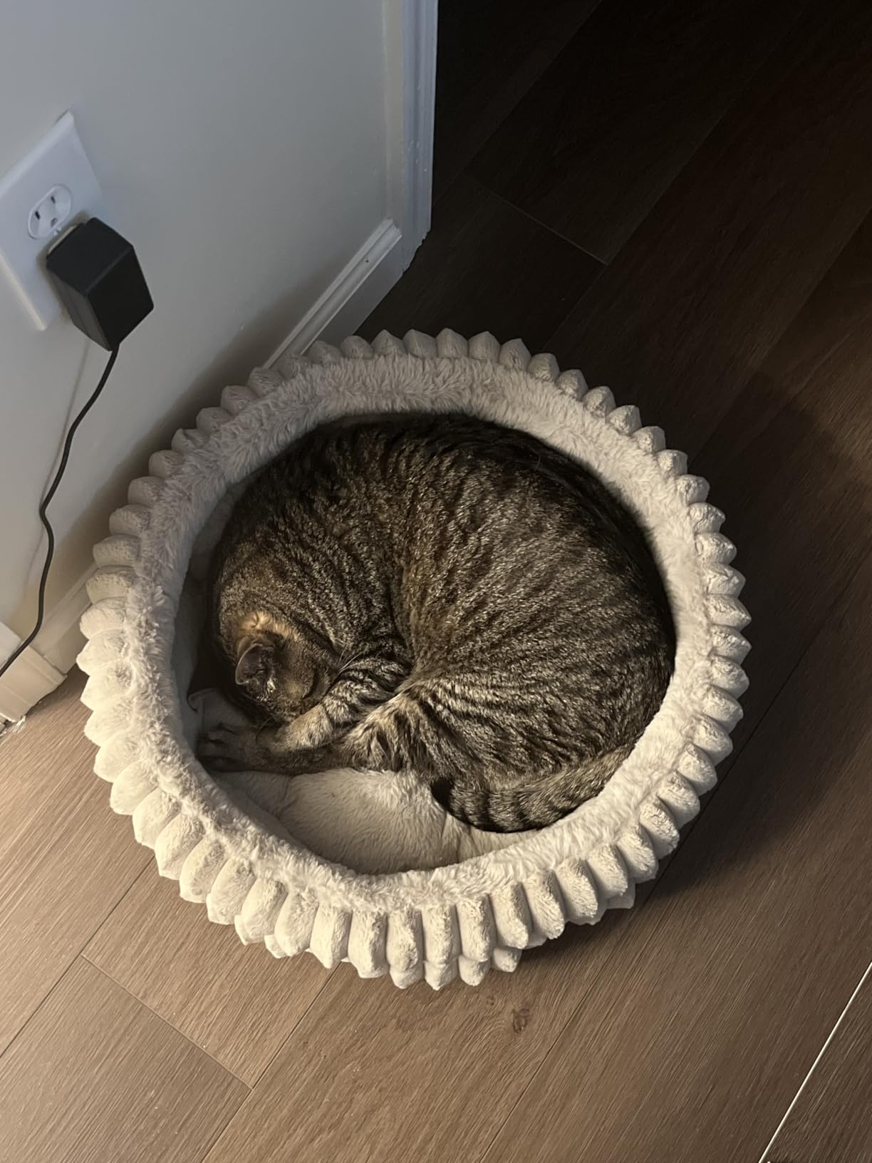BALANCE Donut Dog Bed, 36 Inches Round Dog Bed Large Size Dogs Washable, Orthopedic Calming Dogs Beds for Kitten, Fluffy Plush Faux Fur Pet Bed with Anti-Slip Bottom customer photo 2
