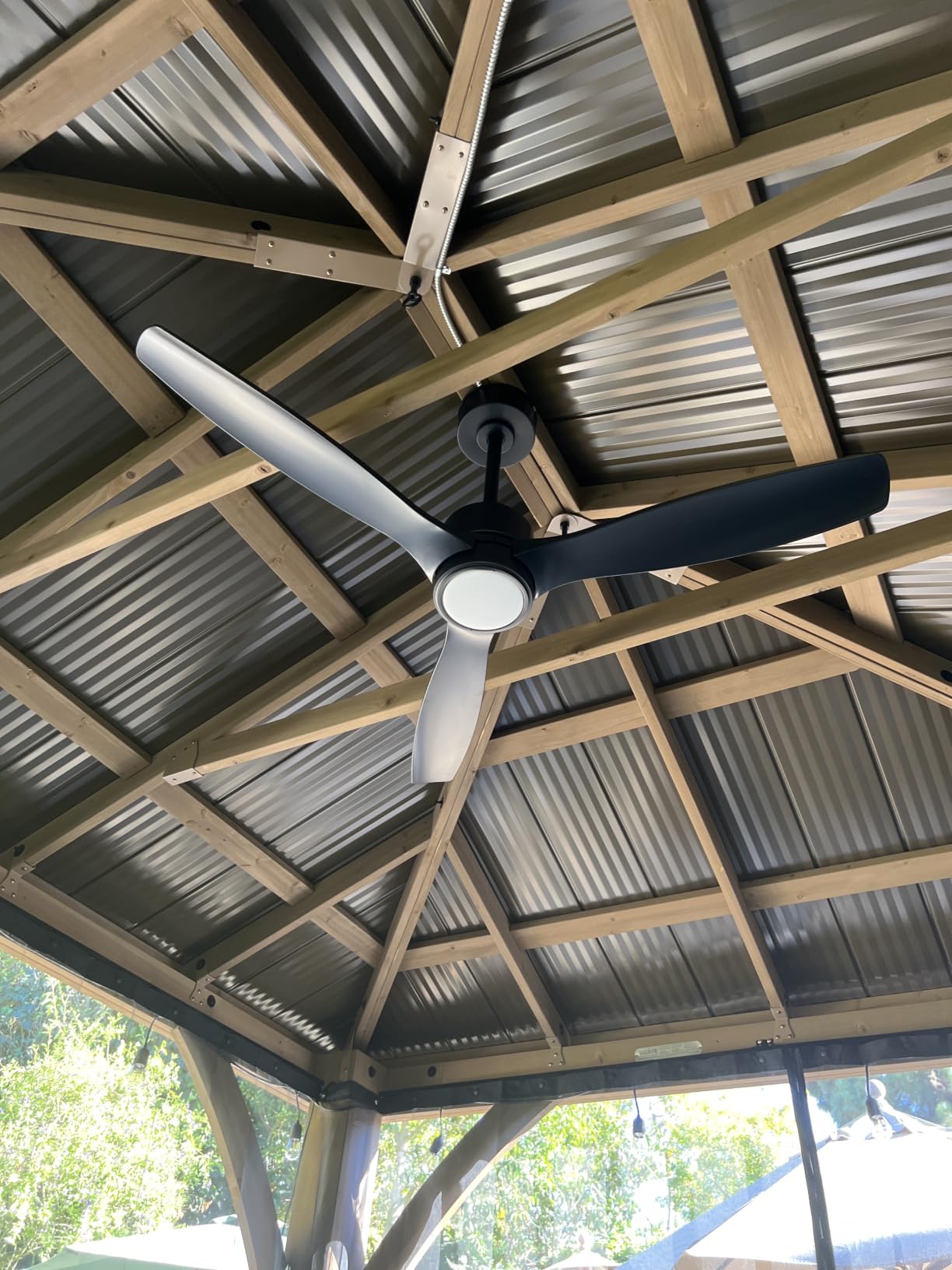 WINGBO 48